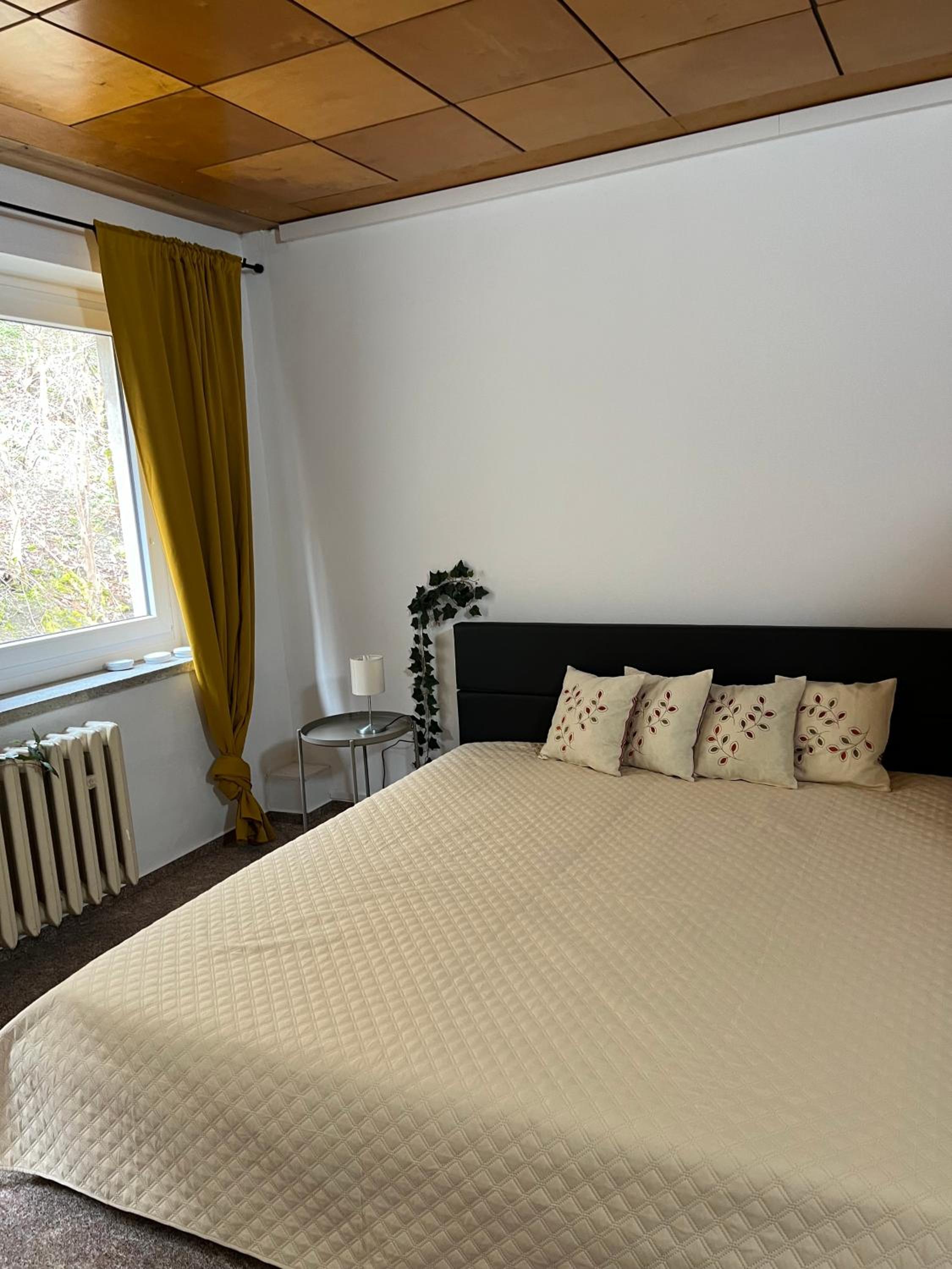 Pension Sternschnuppe, Treseburg Harz, unmittelbar am Wasser