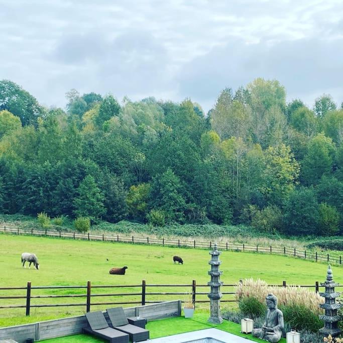Familie & Vriendenwoning met fantastisch uitzicht