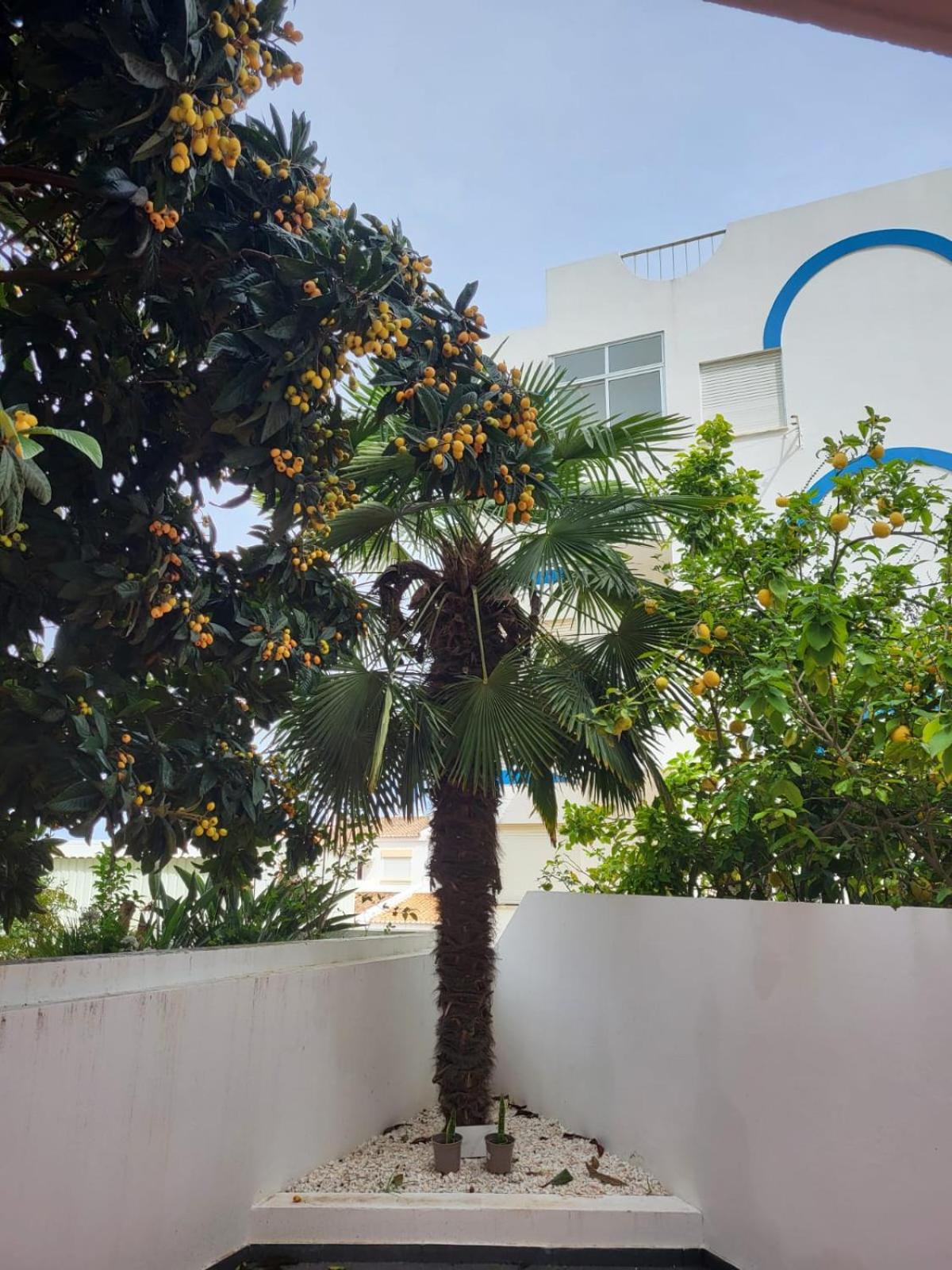 HostelCCPortimão