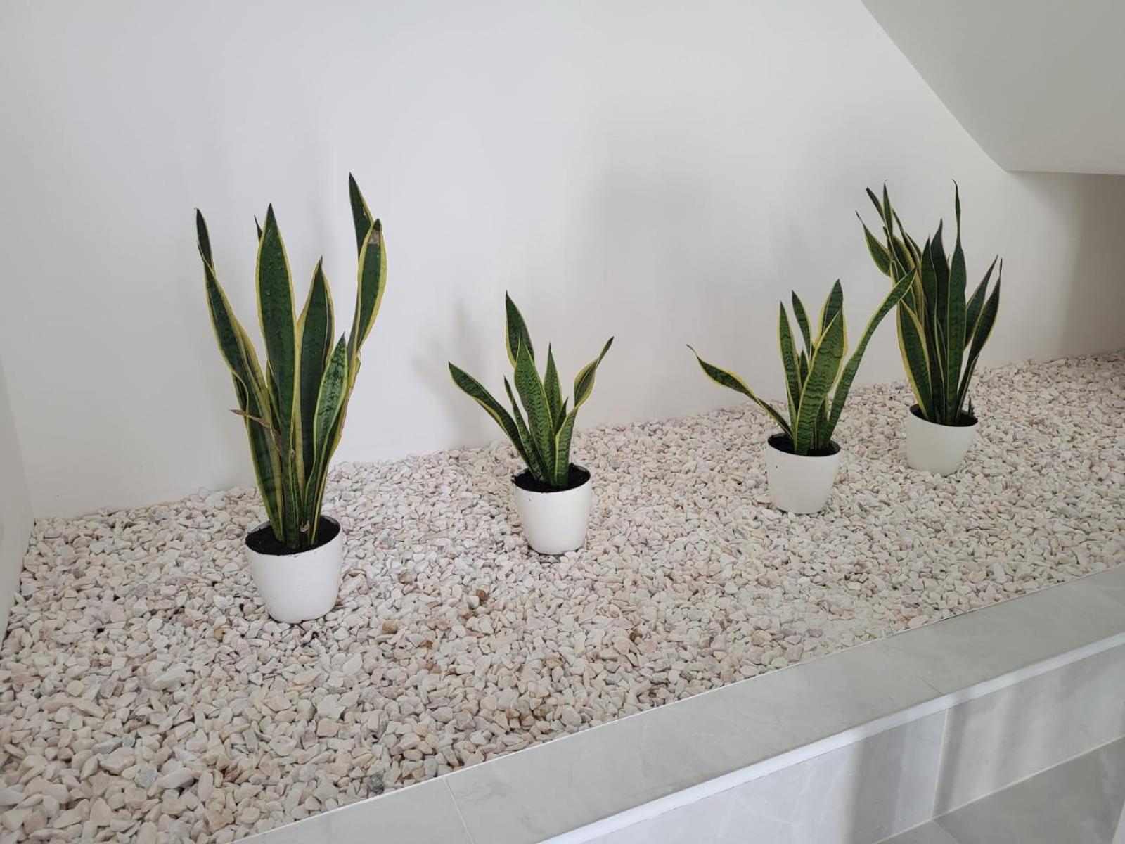 HostelCCPortimão