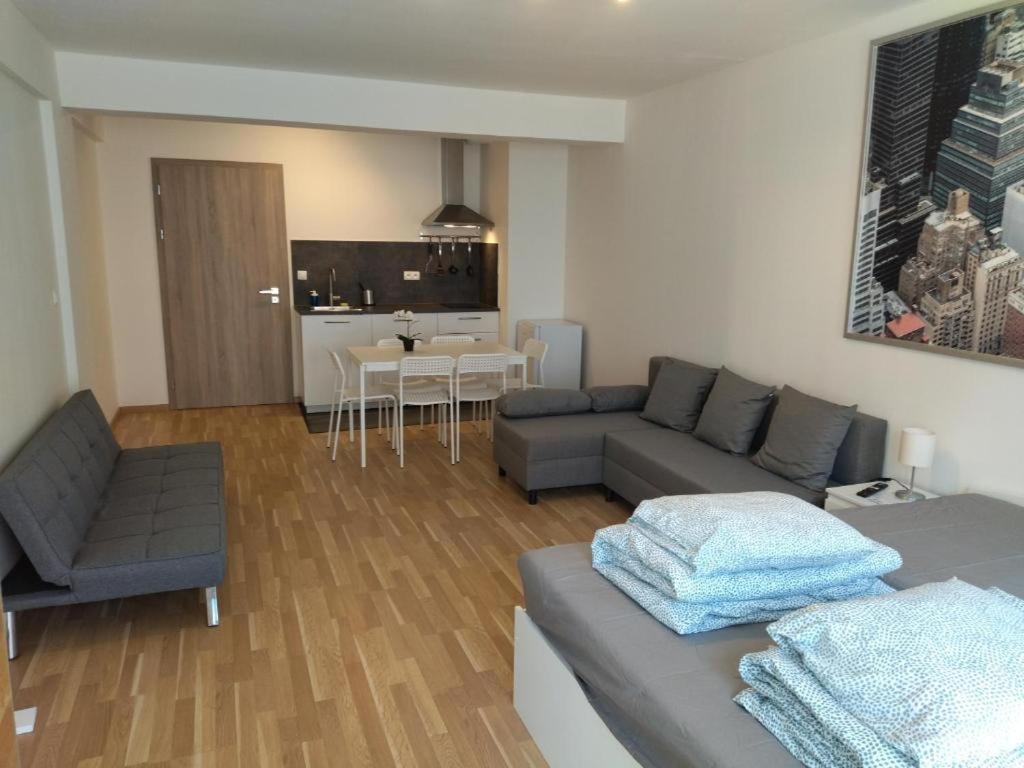 Brand new studio apartment #24 in Elite residence with free secure parking in the center