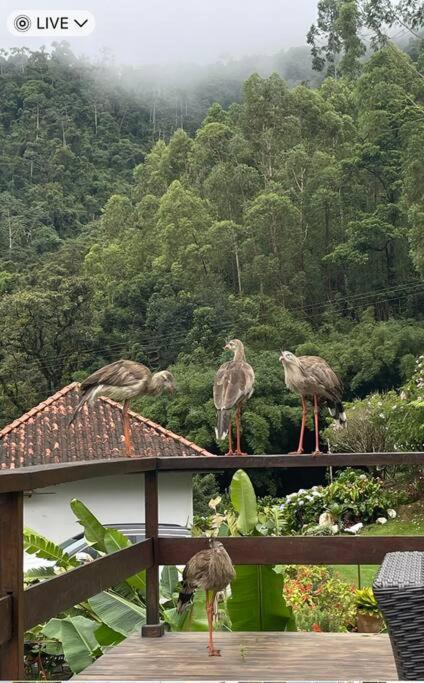 Sitio com piscina natural e cascata, com linda vista em Lumiar.