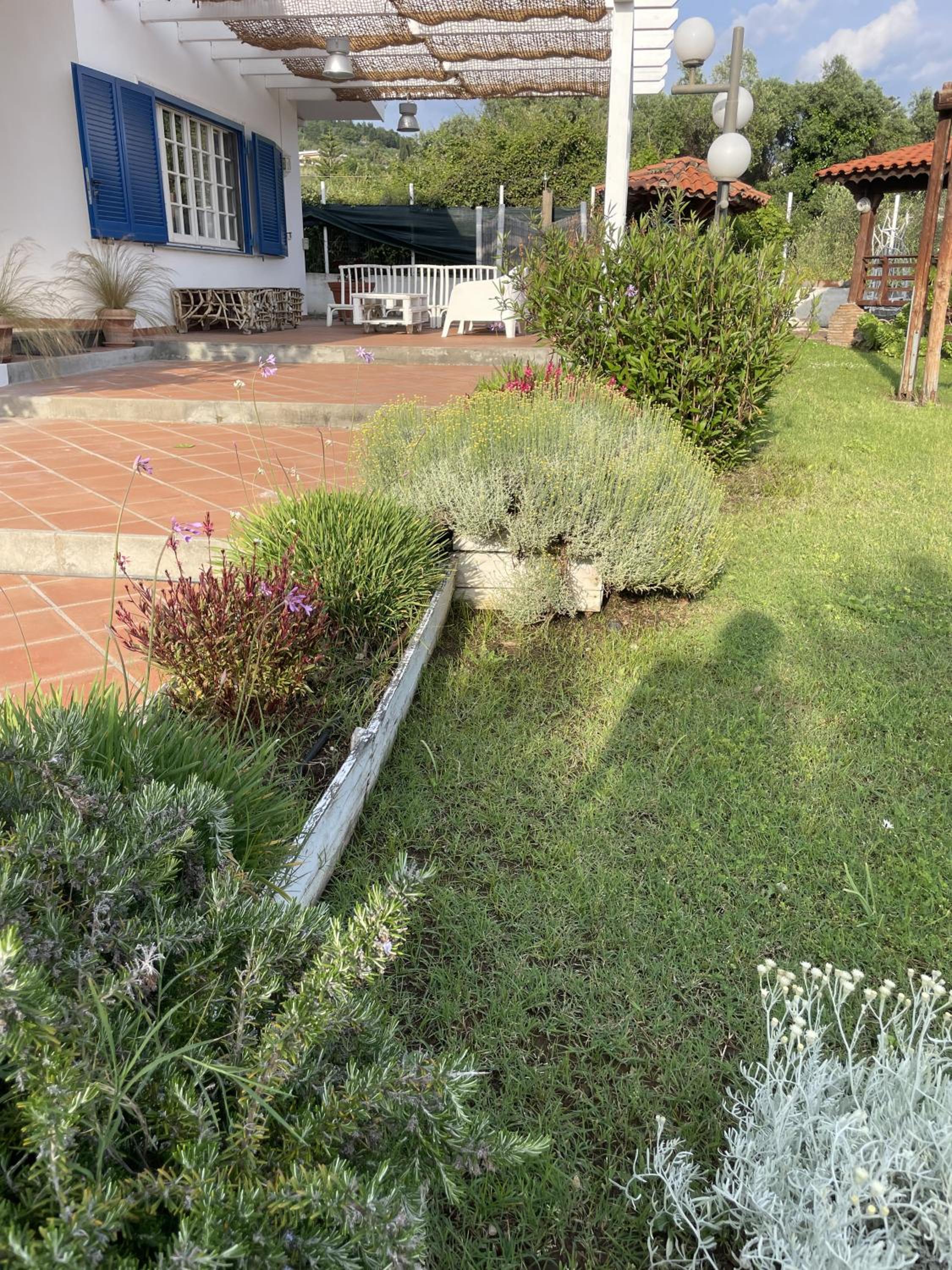 Photo 37