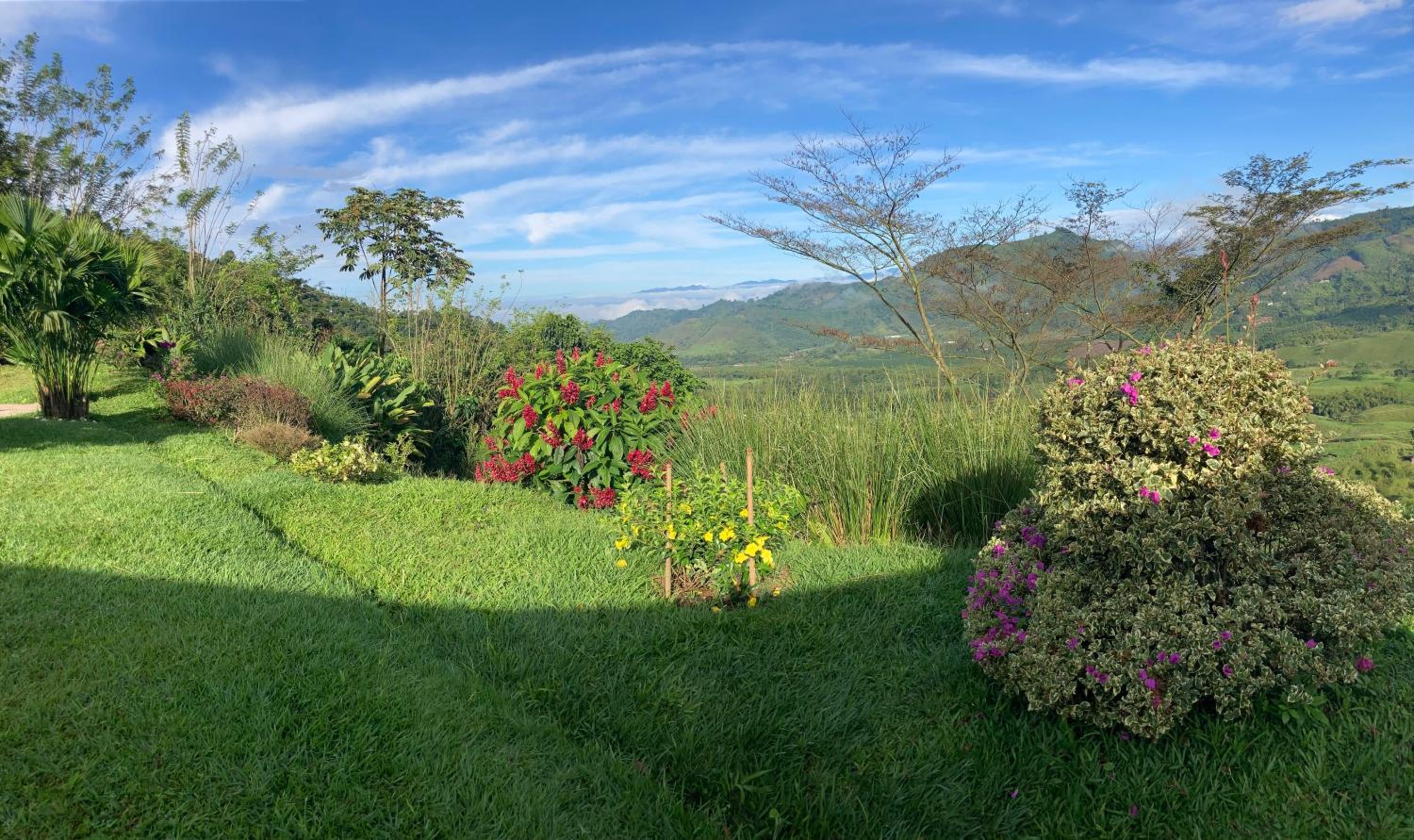 Finca cafetera El Abanico Lodge
