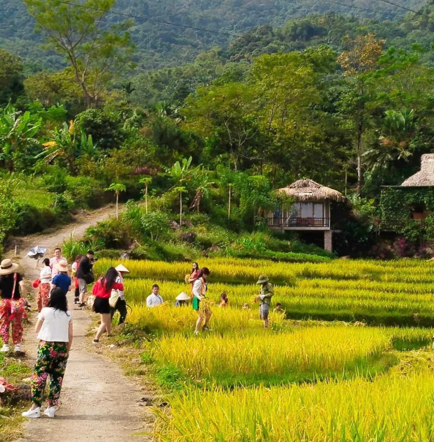 Pù Luông Happy Home