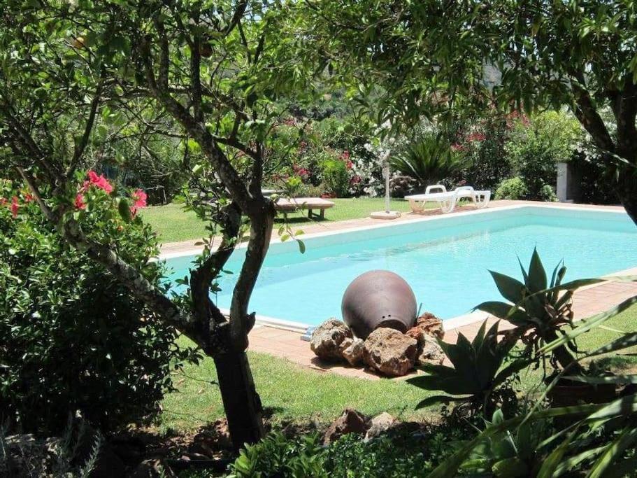 Charming Country House in Silves view 2