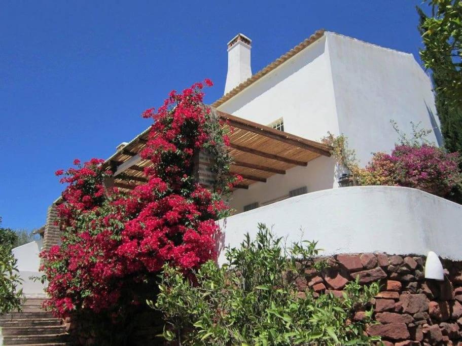 Charming Country House in Silves view 4