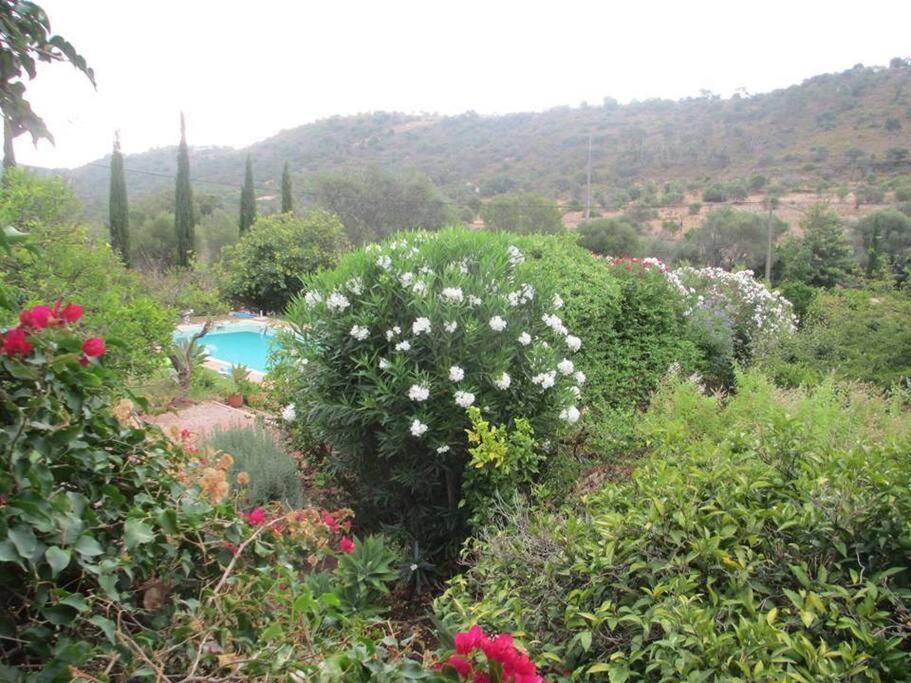 Charming Country House in Silves view 5