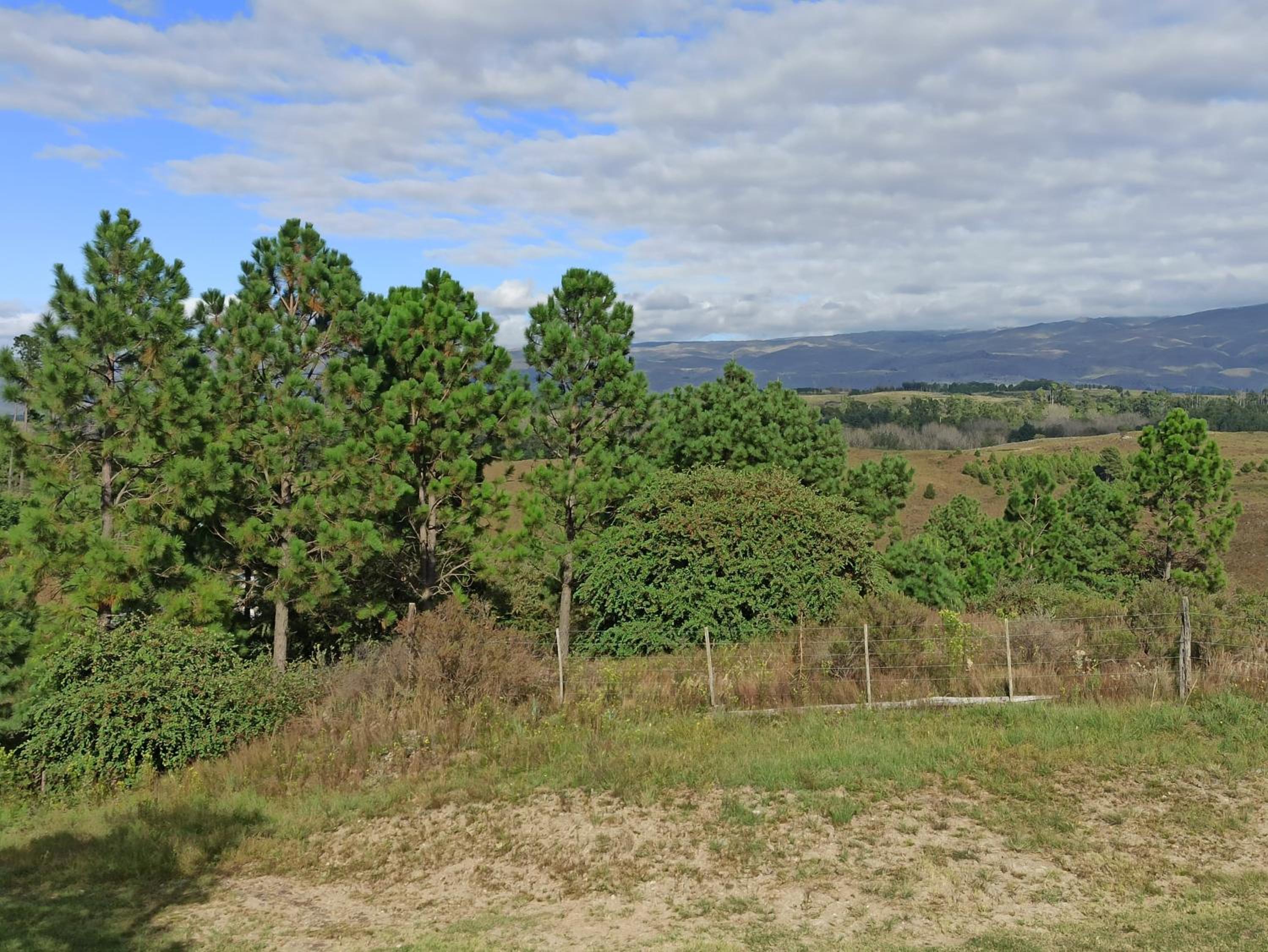 Terrazas de Yacanto