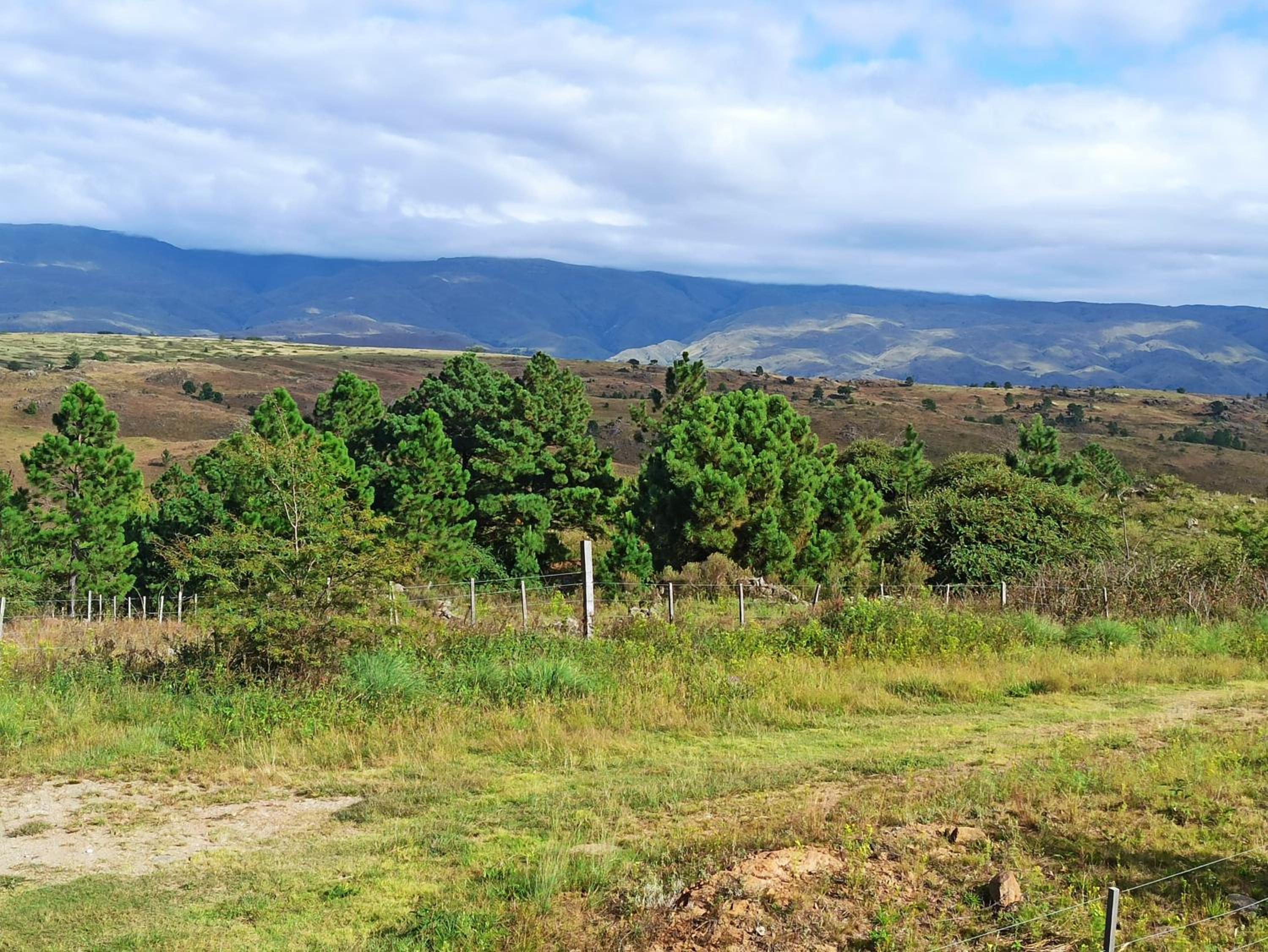 Terrazas de Yacanto