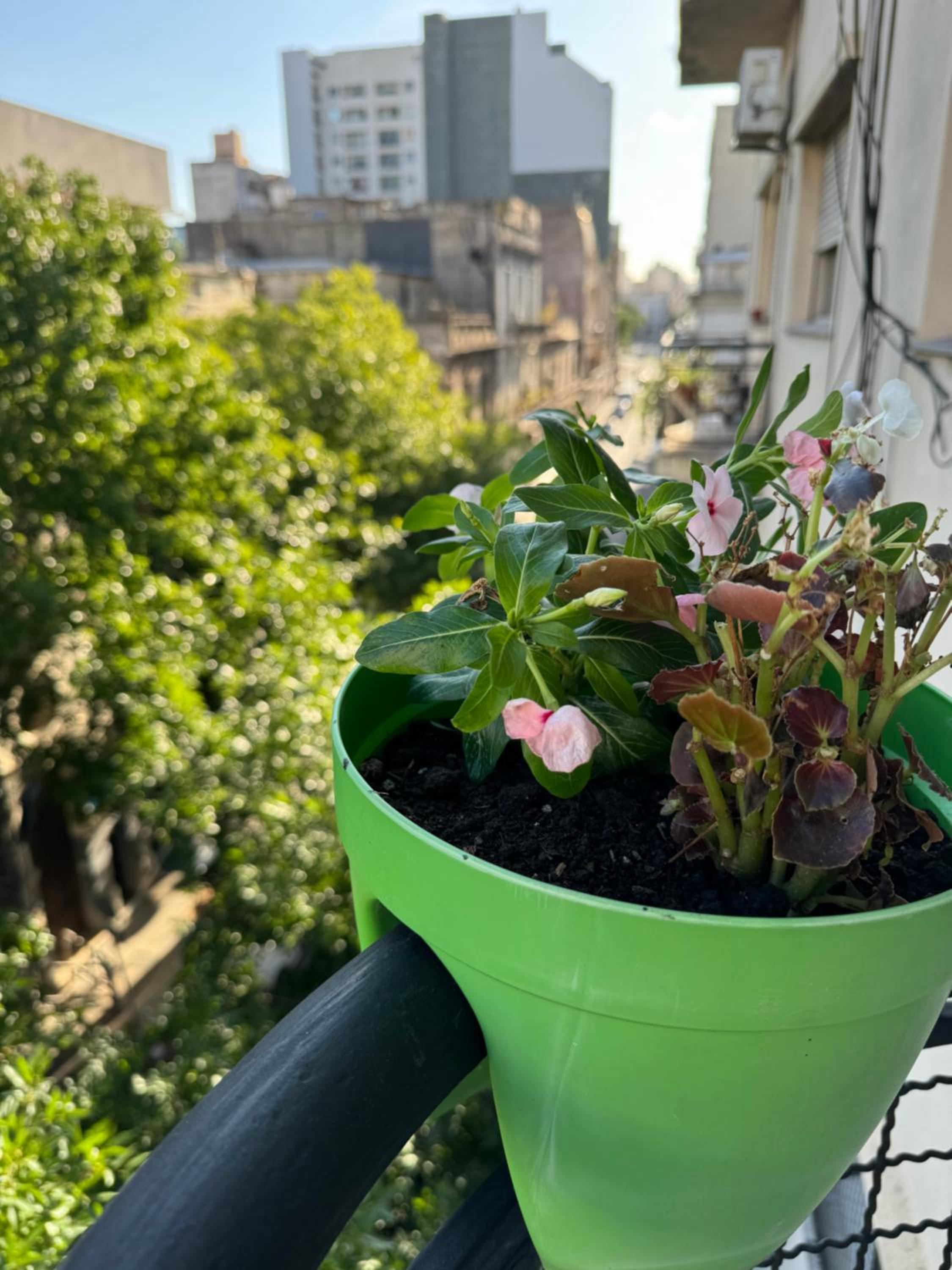 La Frida de Buenos Aires - Departamento en San Telmo, cerca de todo, lindo y cómodo