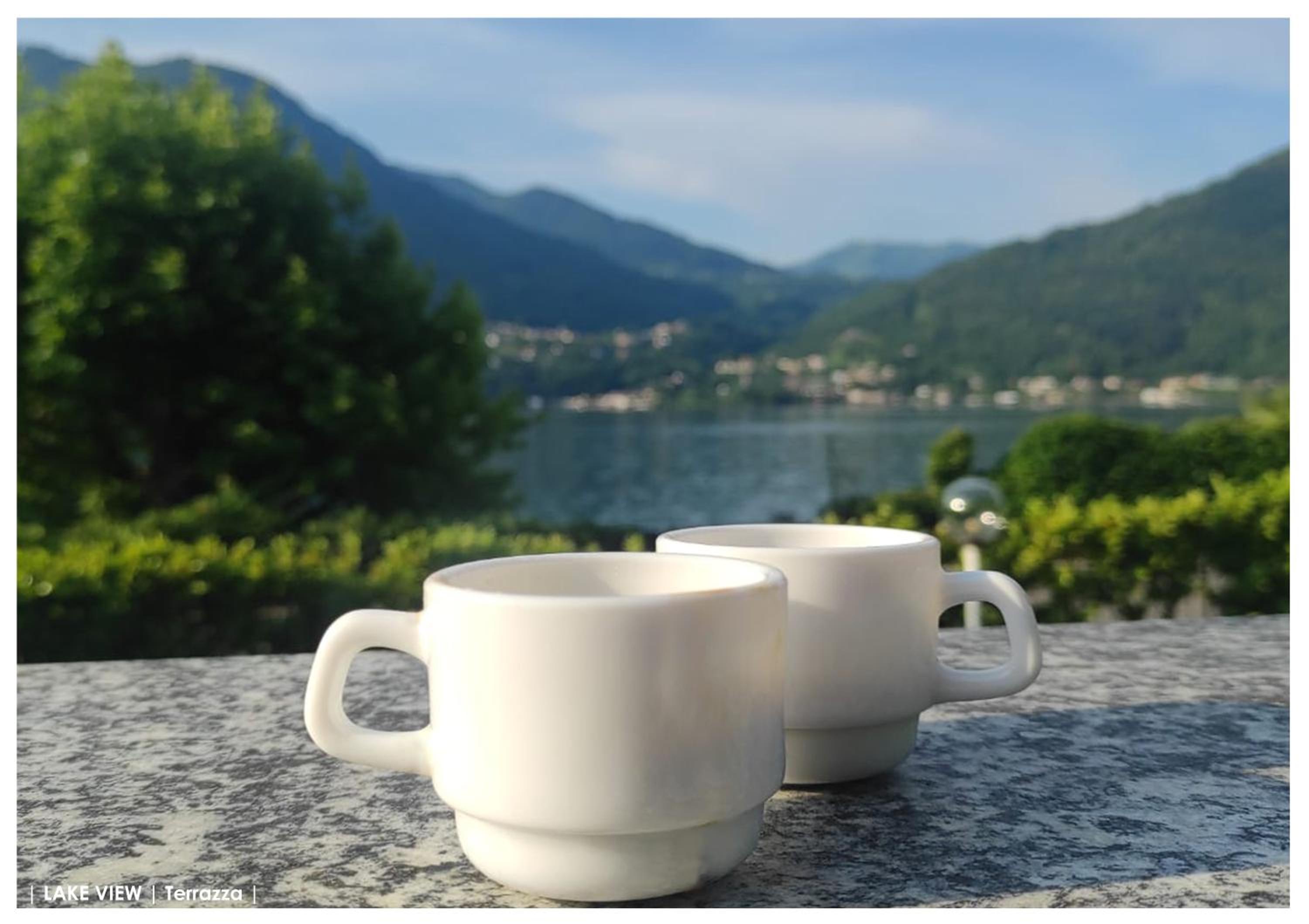 LFSUITE LuganoLake Terrazza Spiaggia privata Parking WI-FI Netflix view 3