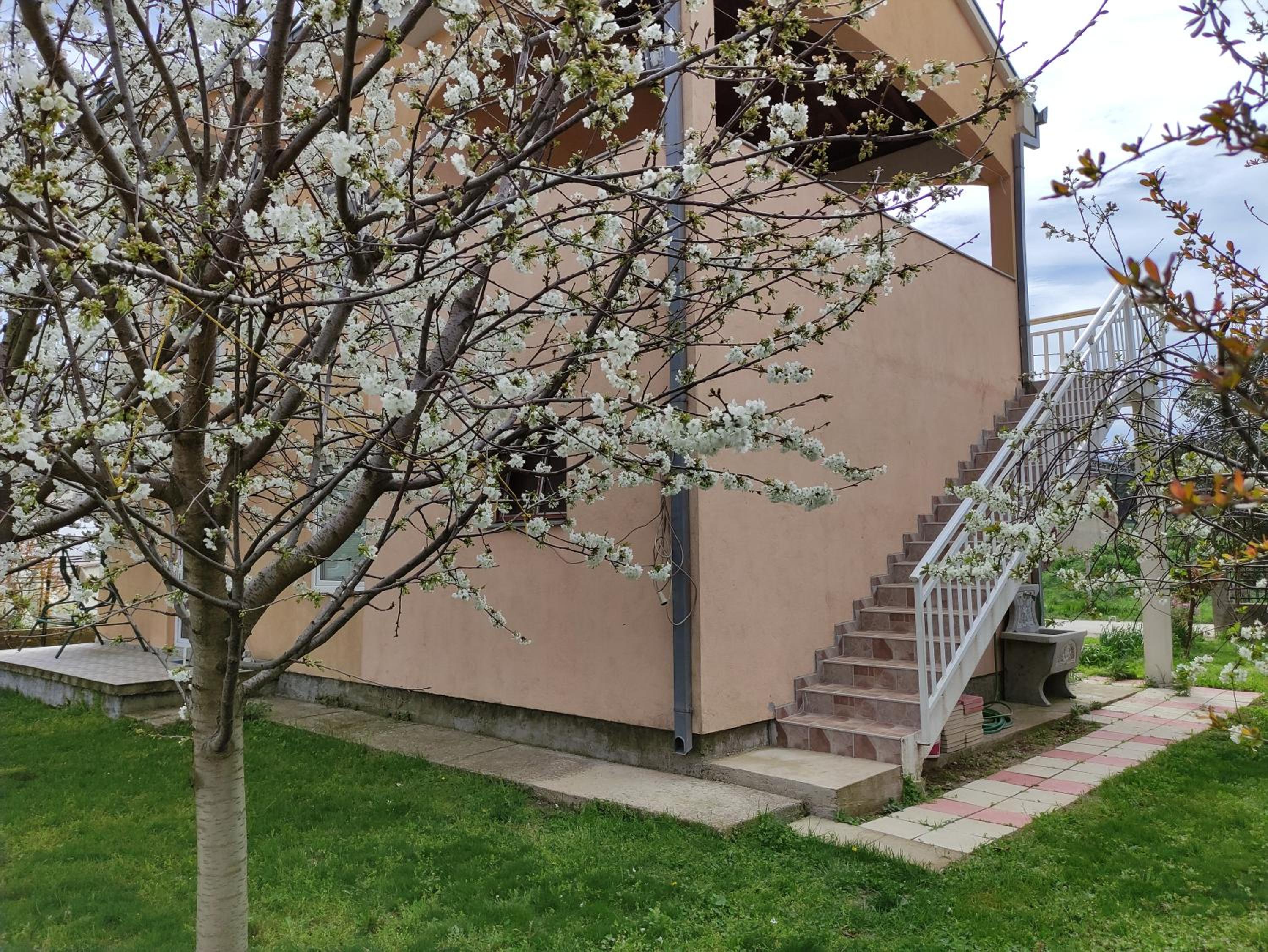 Apartman JOVO
