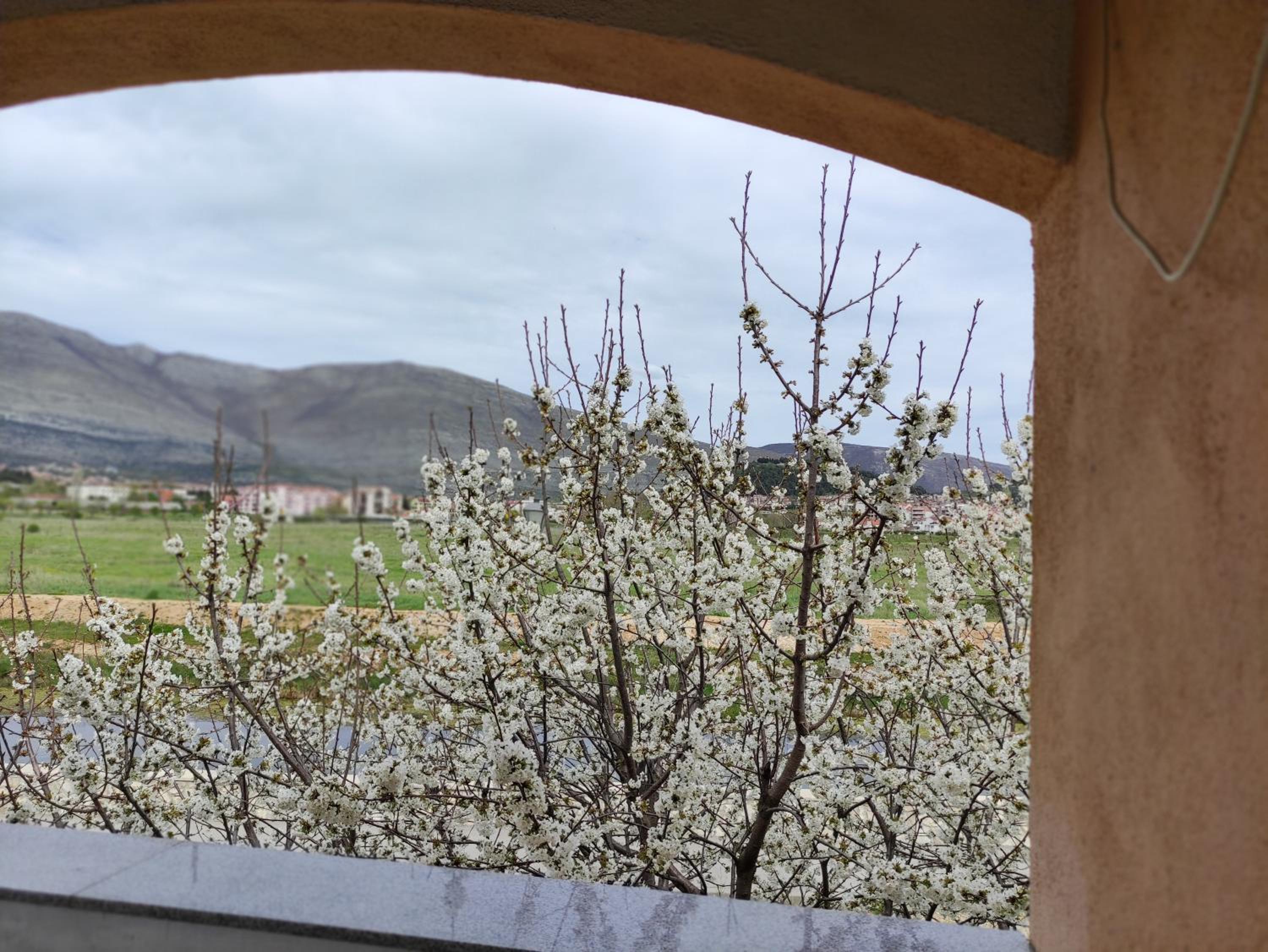 Apartman JOVO