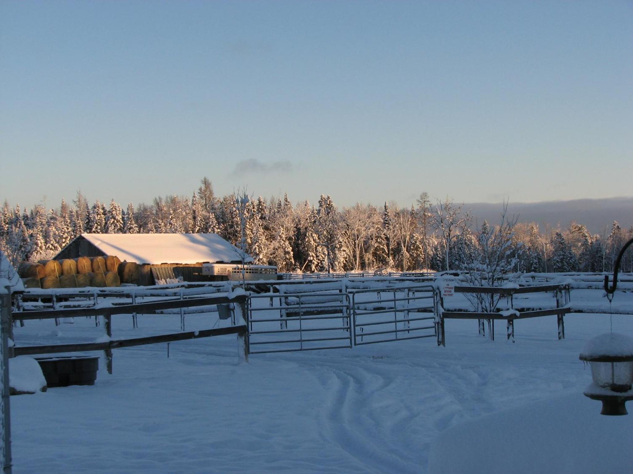 Meadowlark Cabin #5
