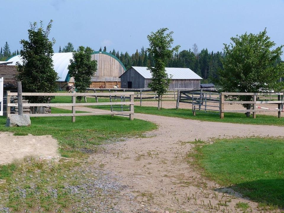 Meadowlark Cabin #5