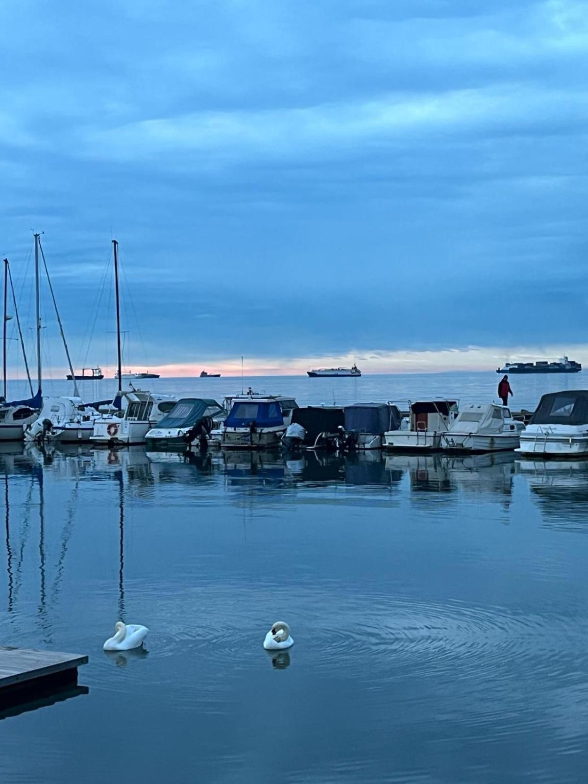 ArtWoodResidence