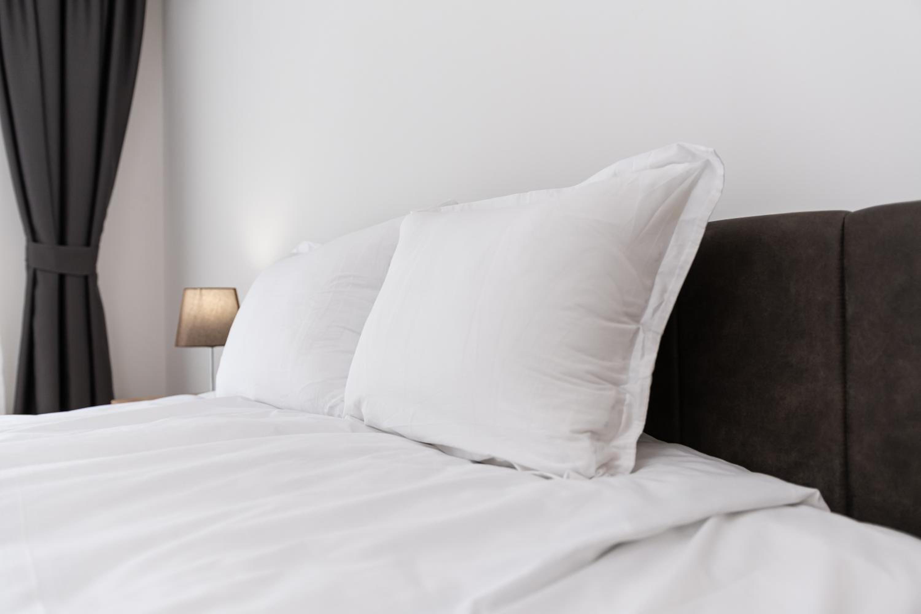 Modern 1-Bedroom Apartments
