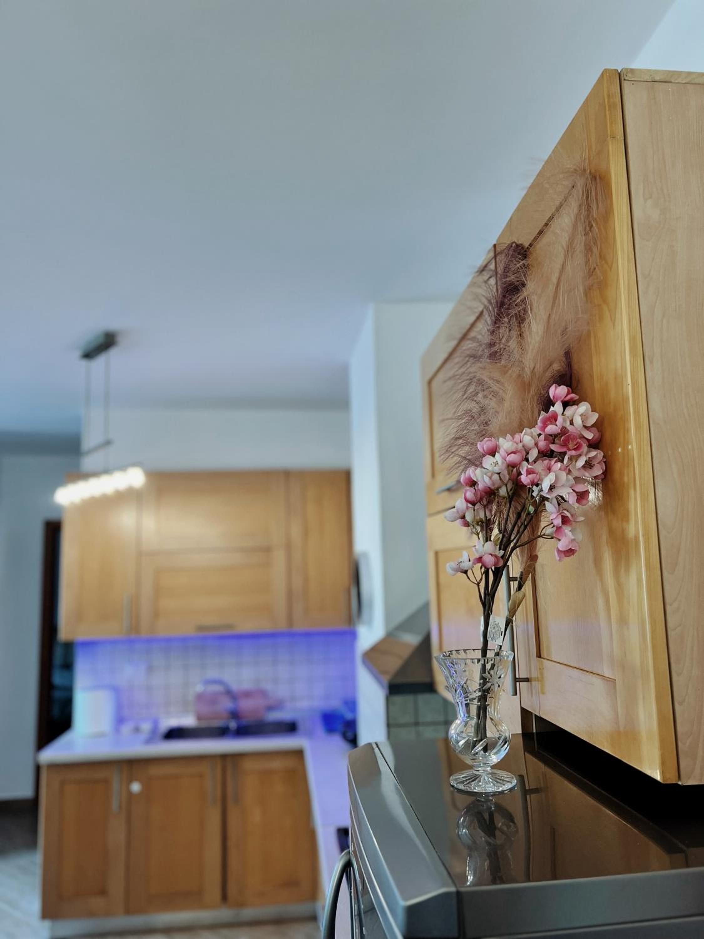 Lovely apartment Tirana
