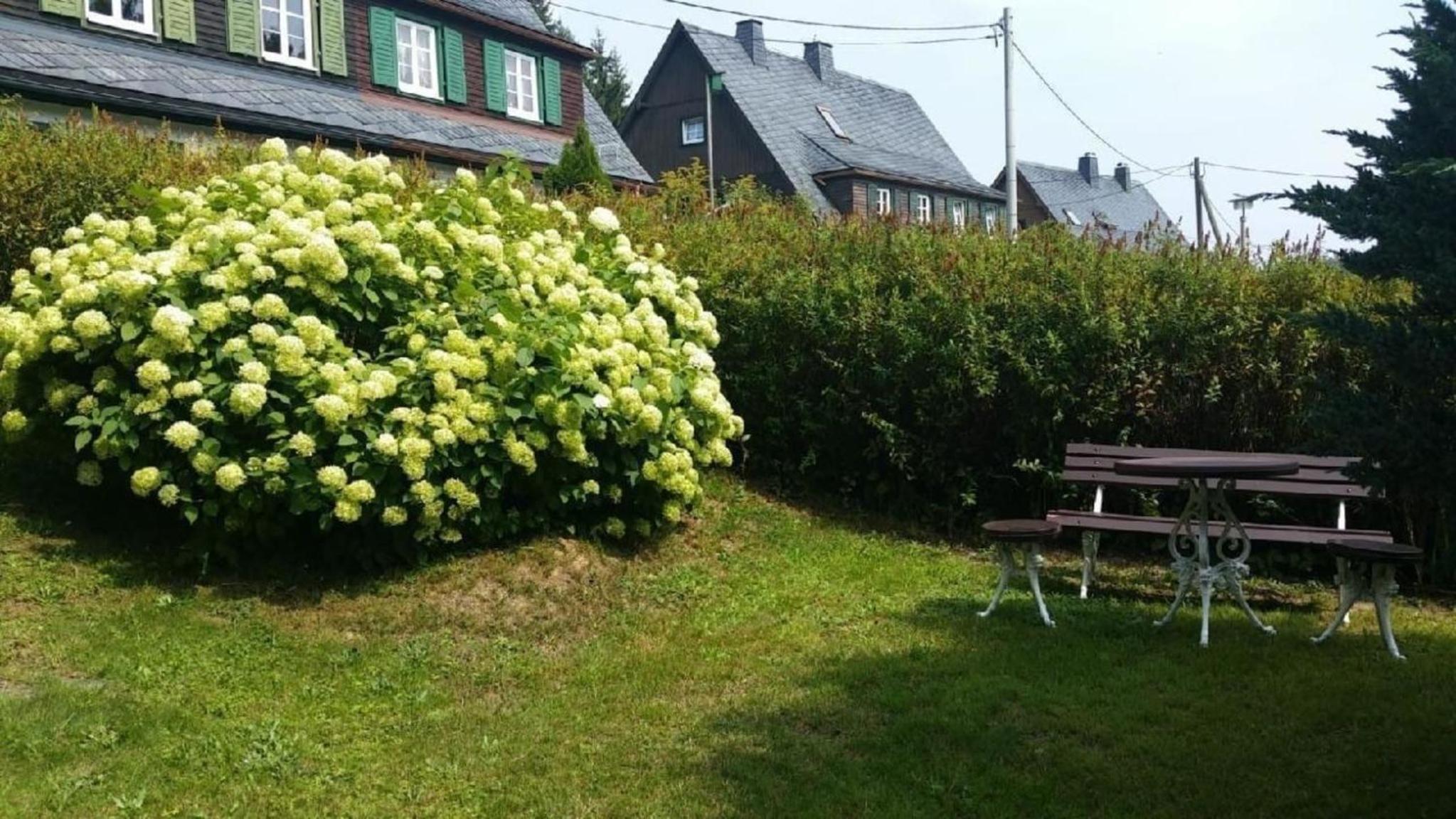 Ferienhaus am Wald mit Sauna - Property Image 14