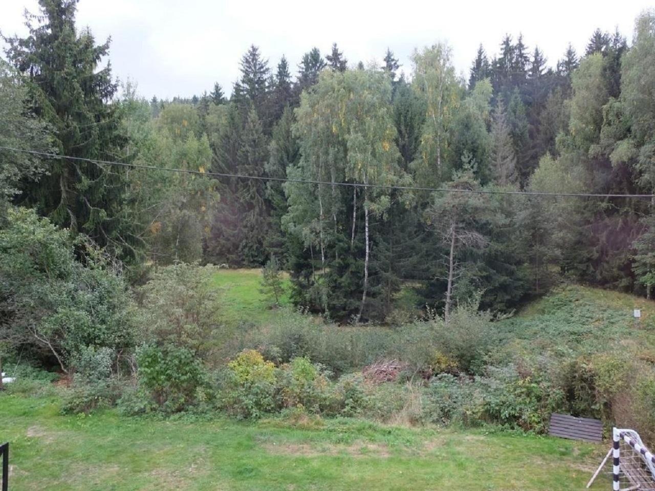 Ferienhaus am Wald mit Sauna - Property Image 15