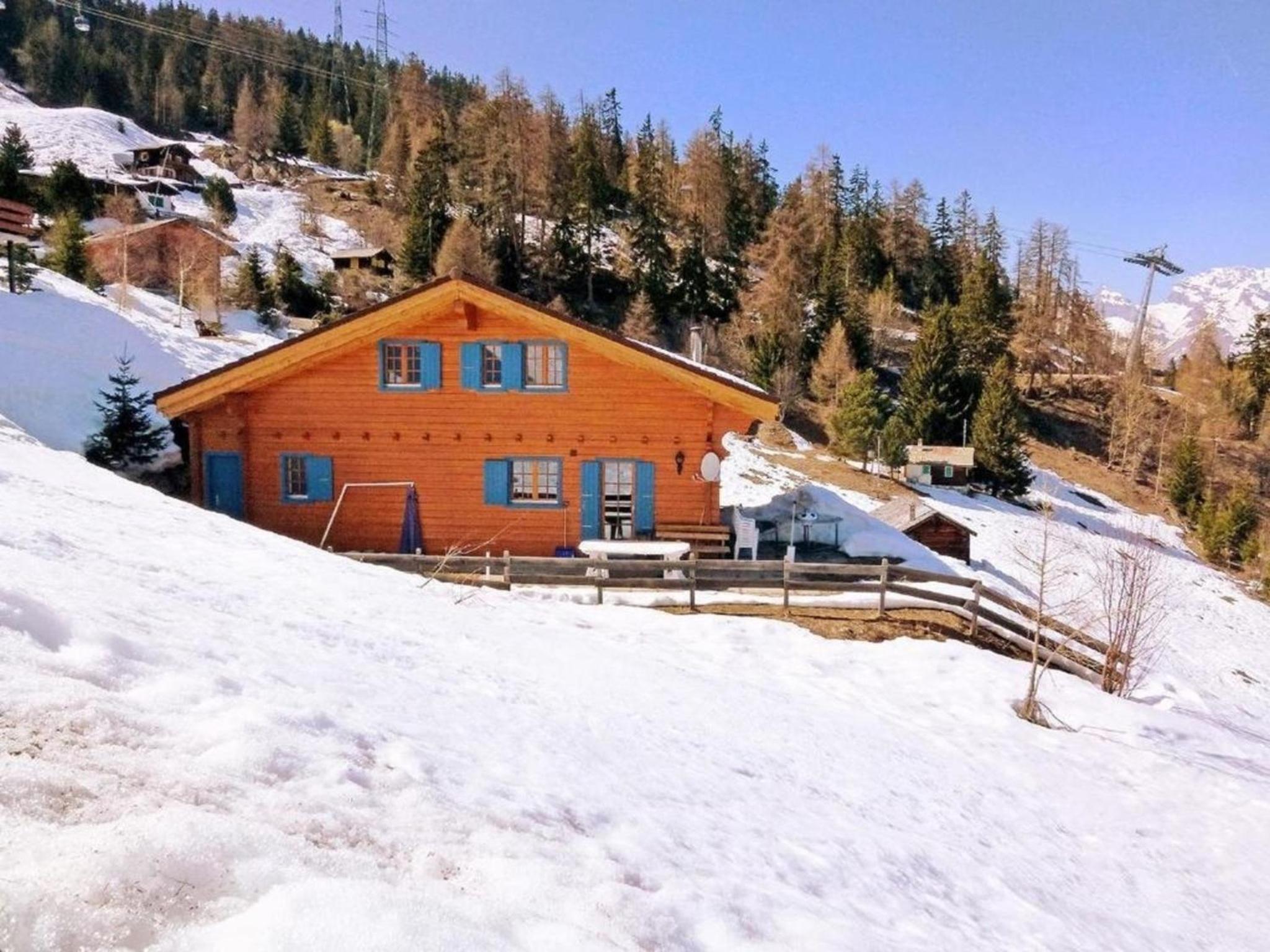 Chalet Alpina view 3