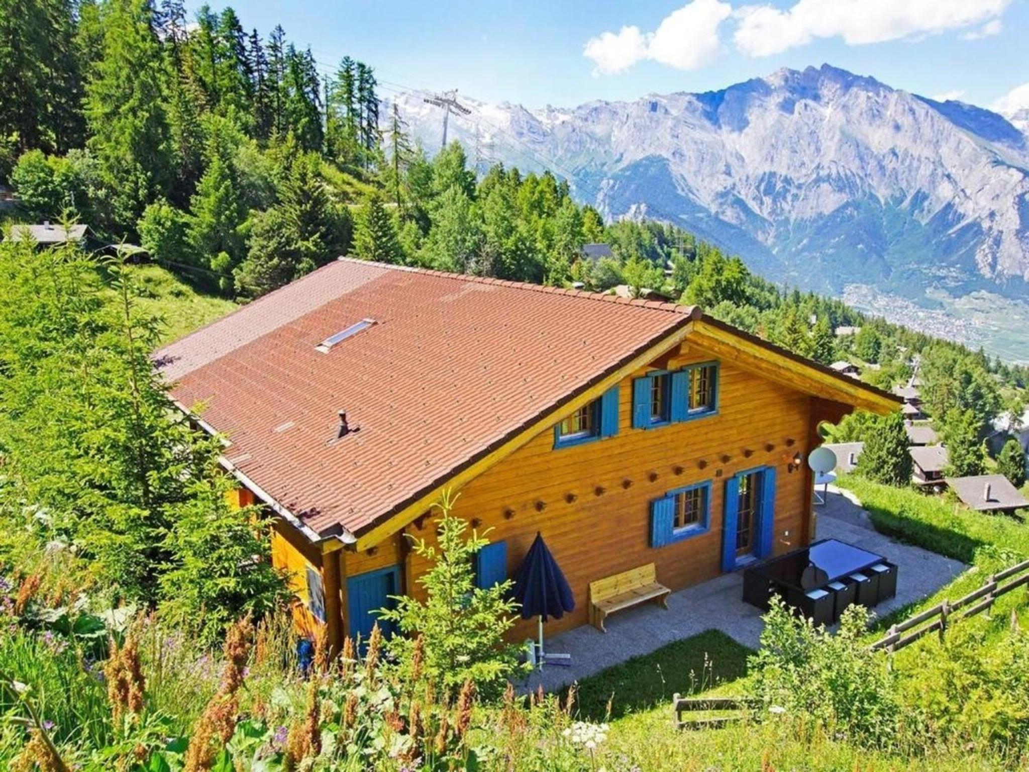 Chalet Alpina view 4