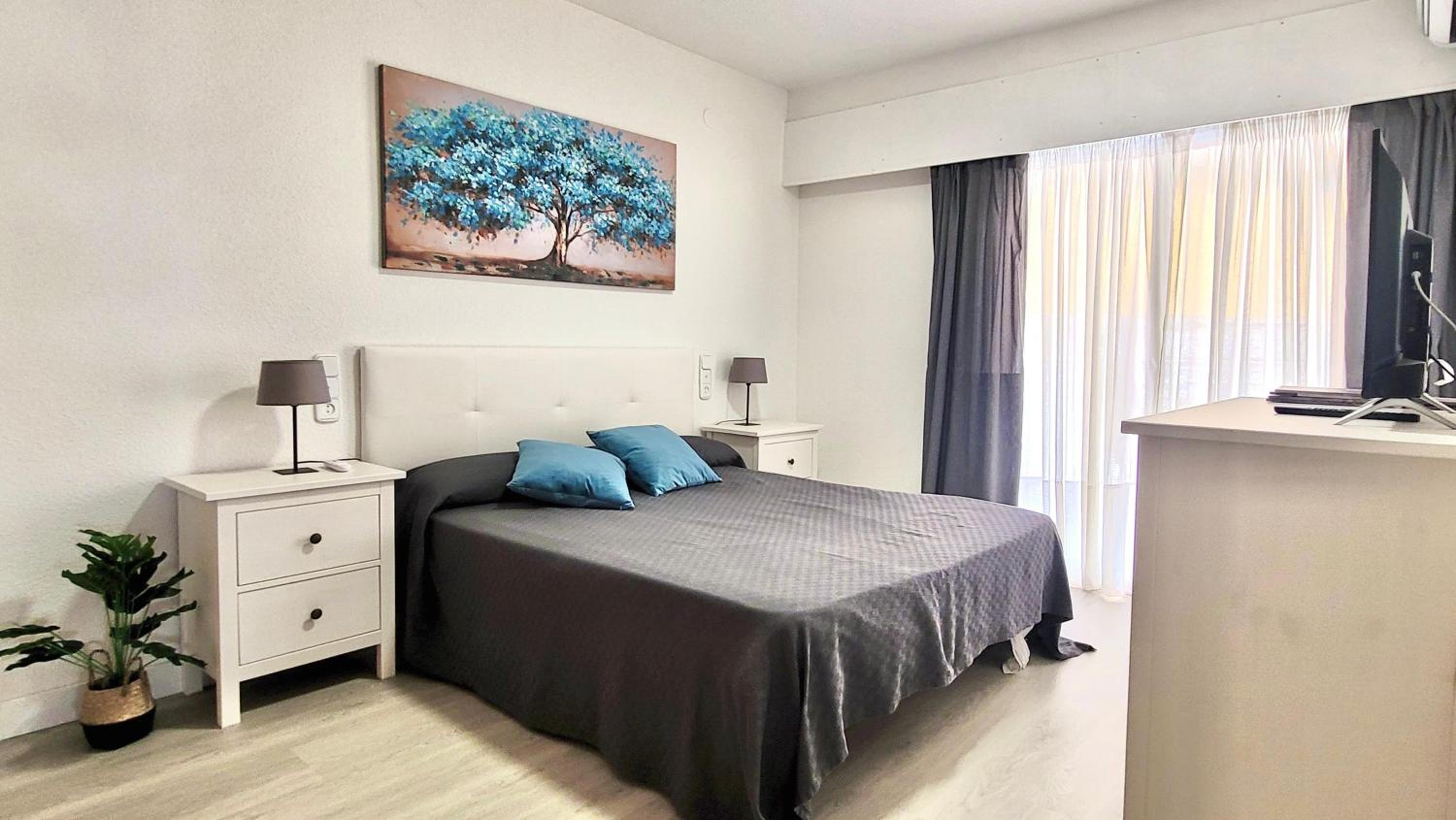 Aguamarina Gandia