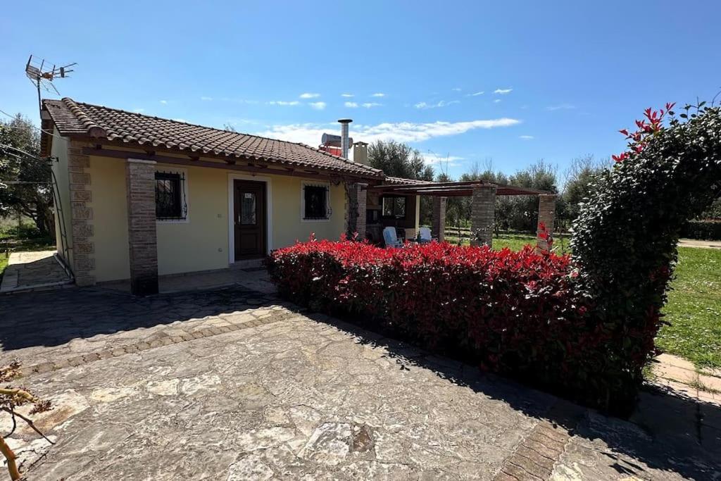 Villa Zoe
