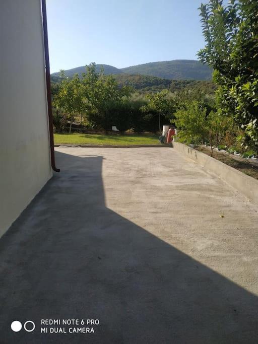 Photo 23