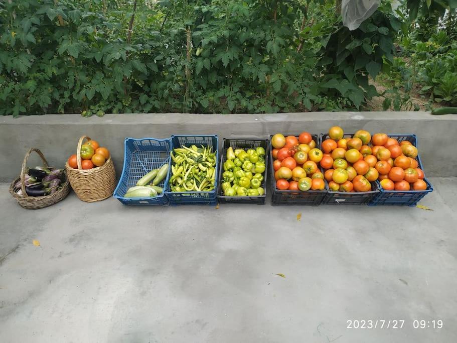 Photo 13