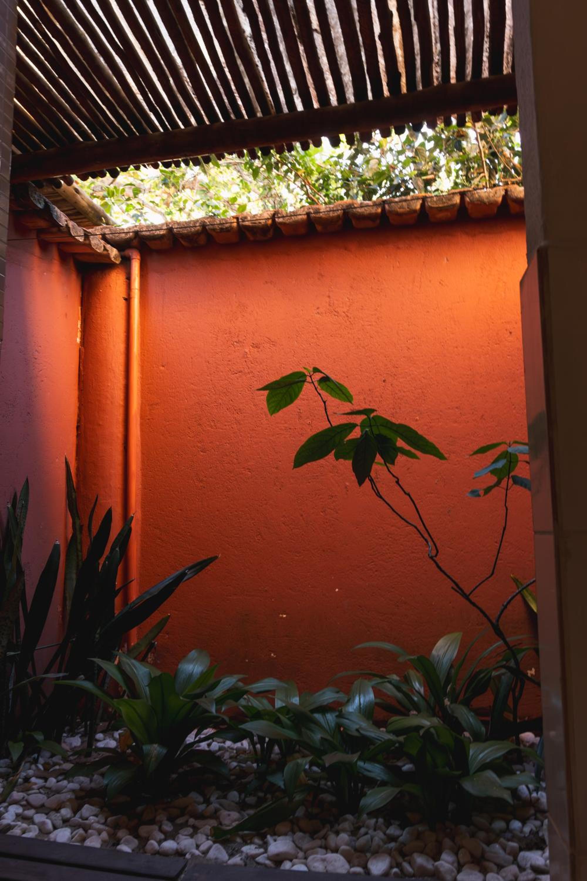 Aiuruoca