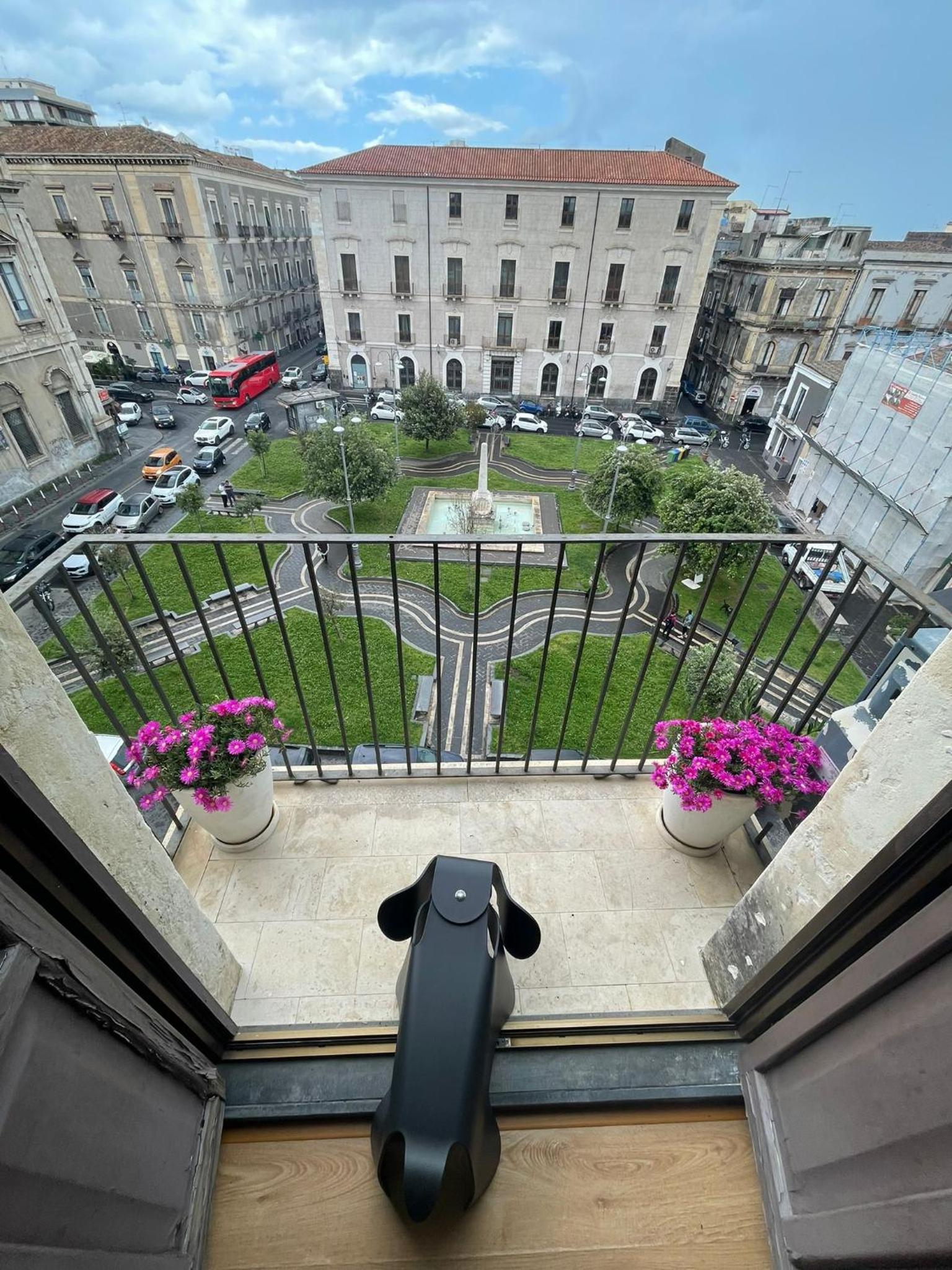 Photo 59