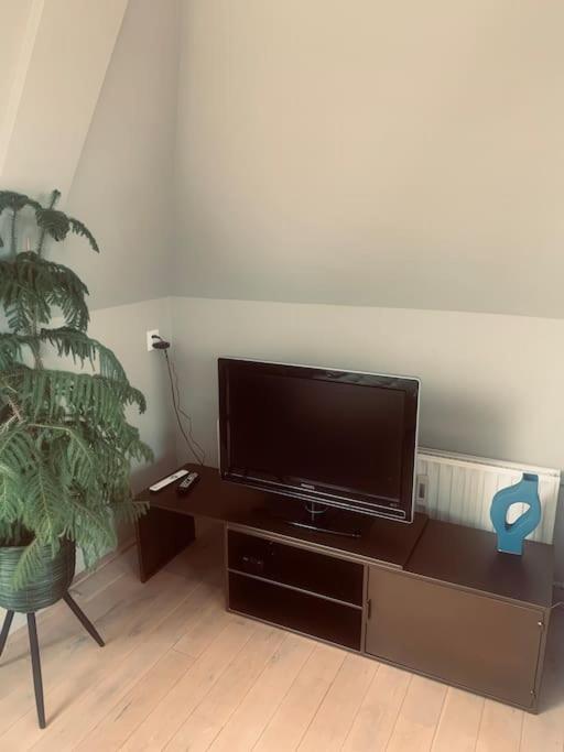 Have a nice stay! - Main Street beachapartment, beach 150 meters view 3