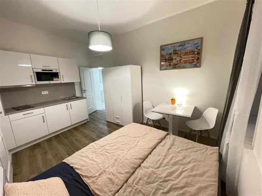 Putova Apartment in Prague 1