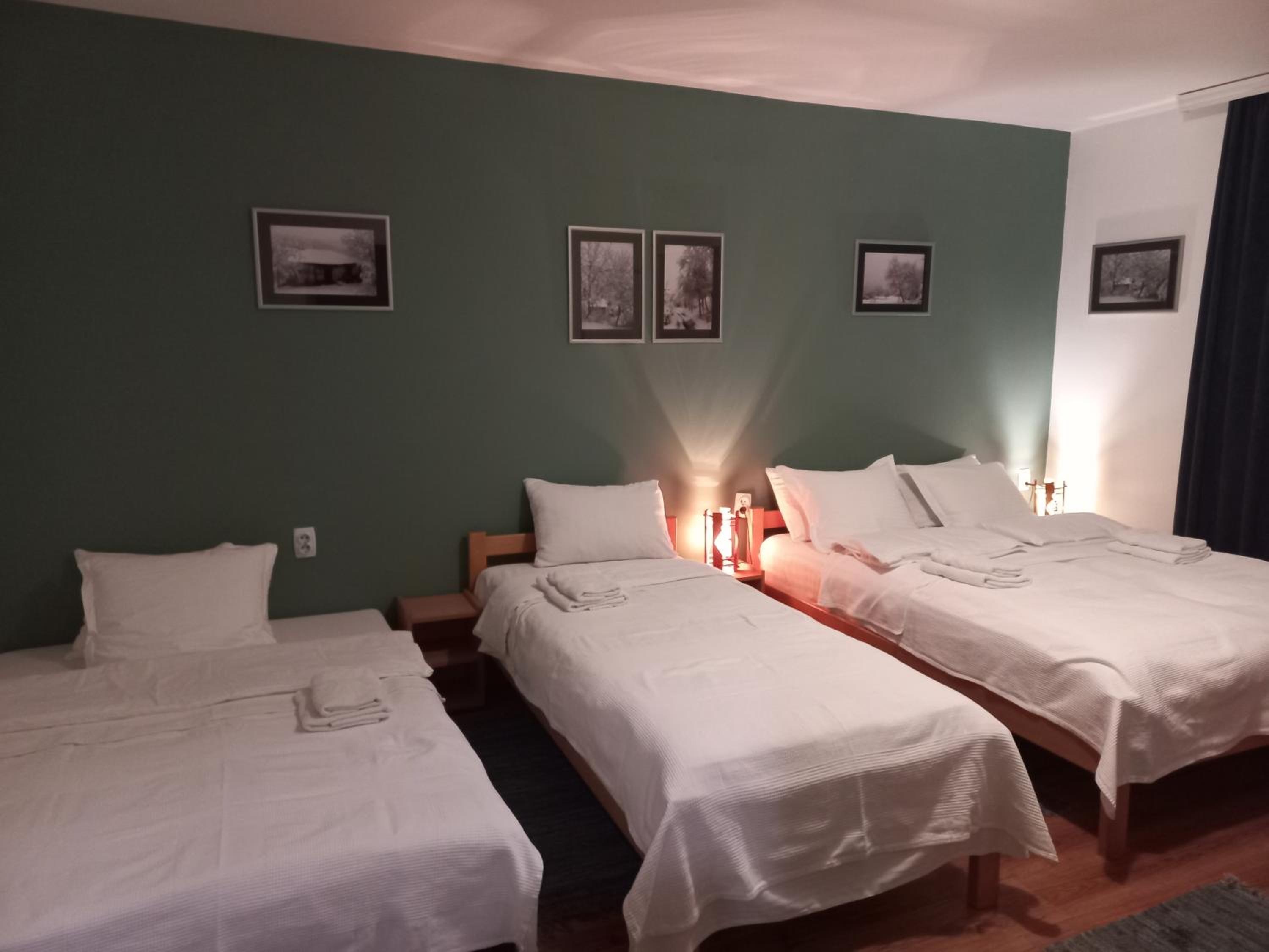 B&B Vila Babin zub view 4