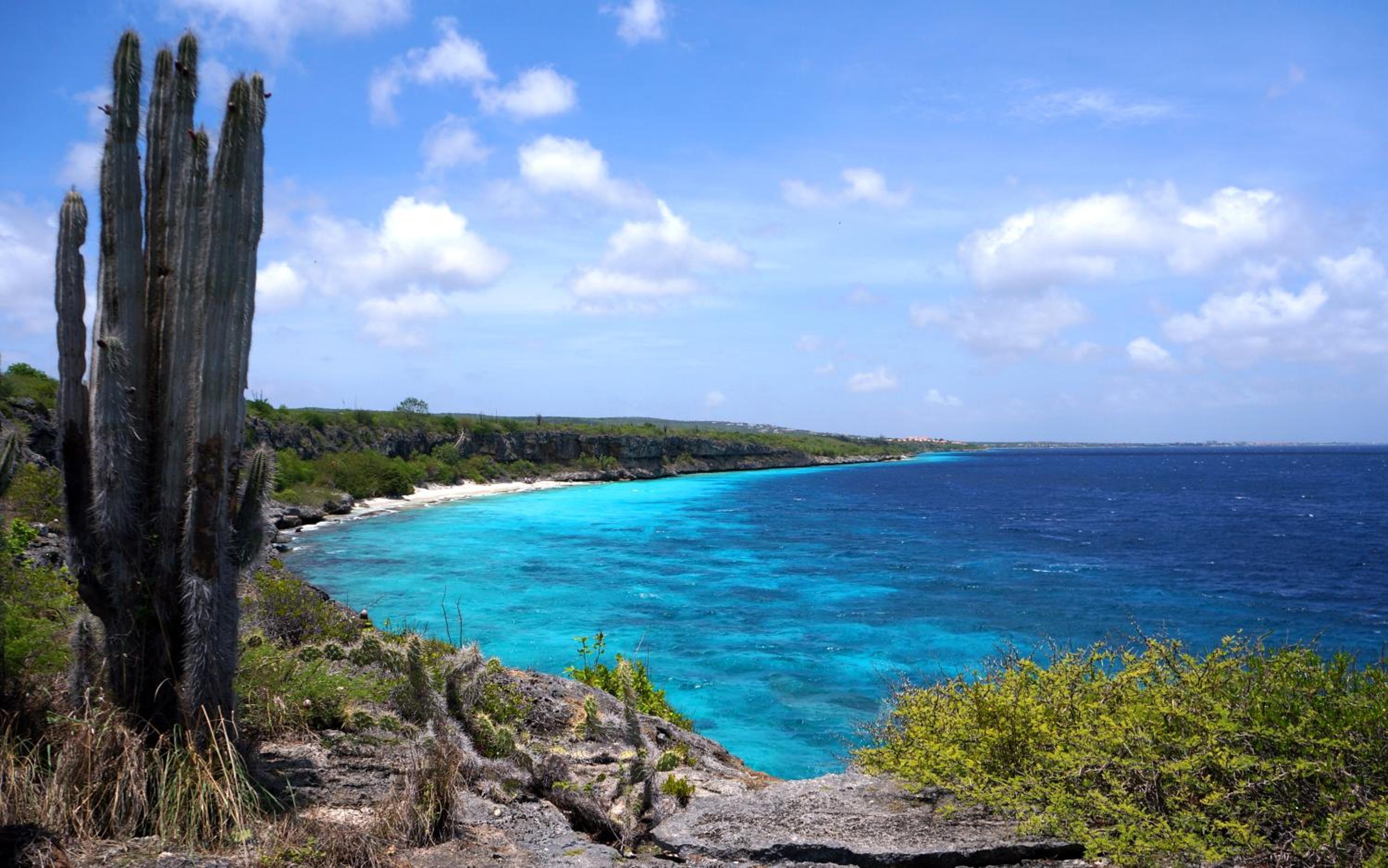Casita de Rincon 1
