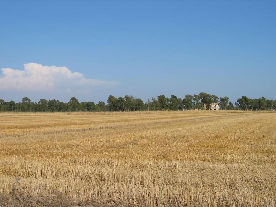 Photo 38