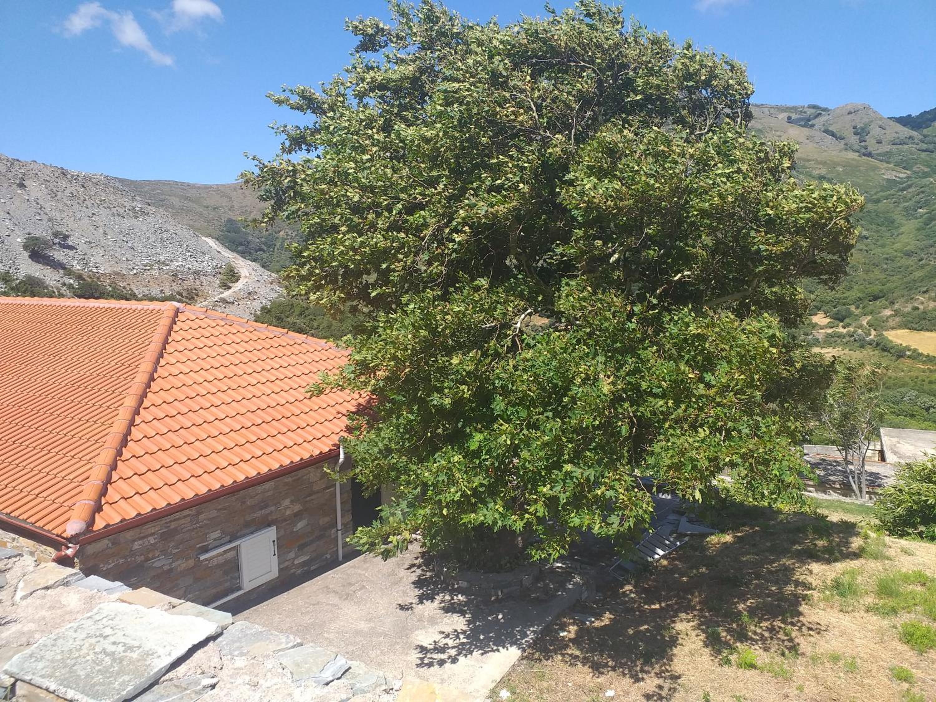 Aiolida
