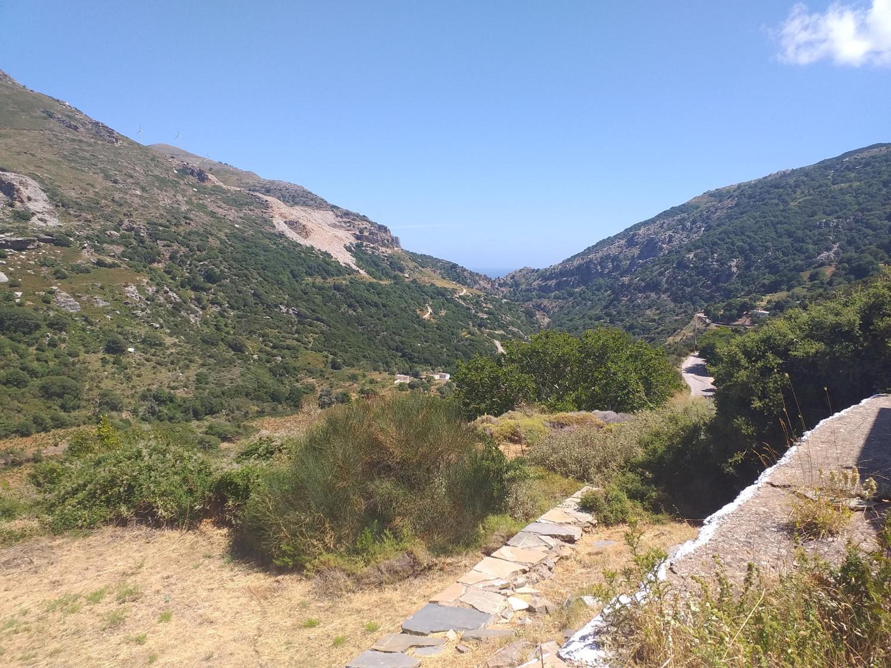 Aiolida