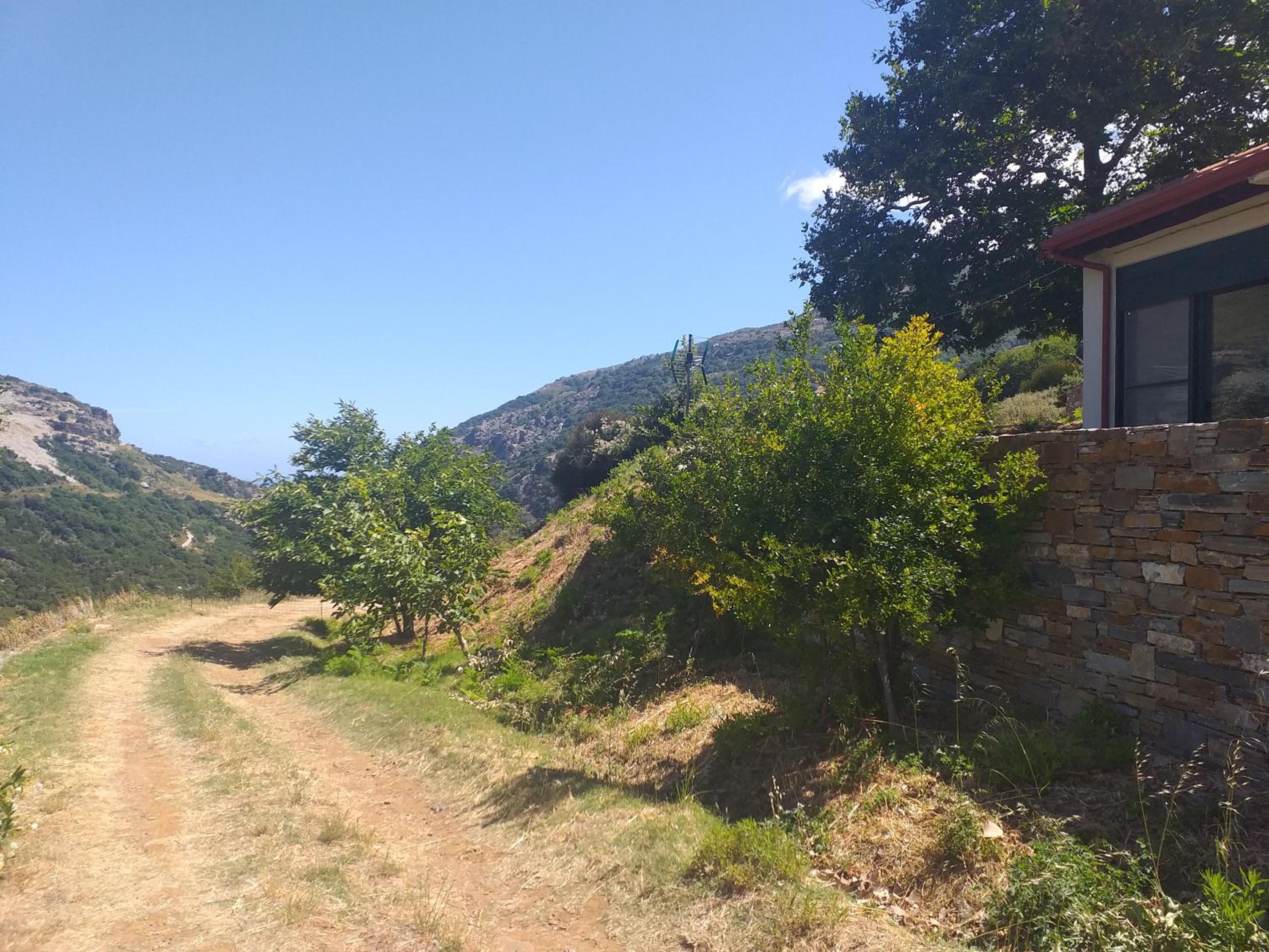 Aiolida