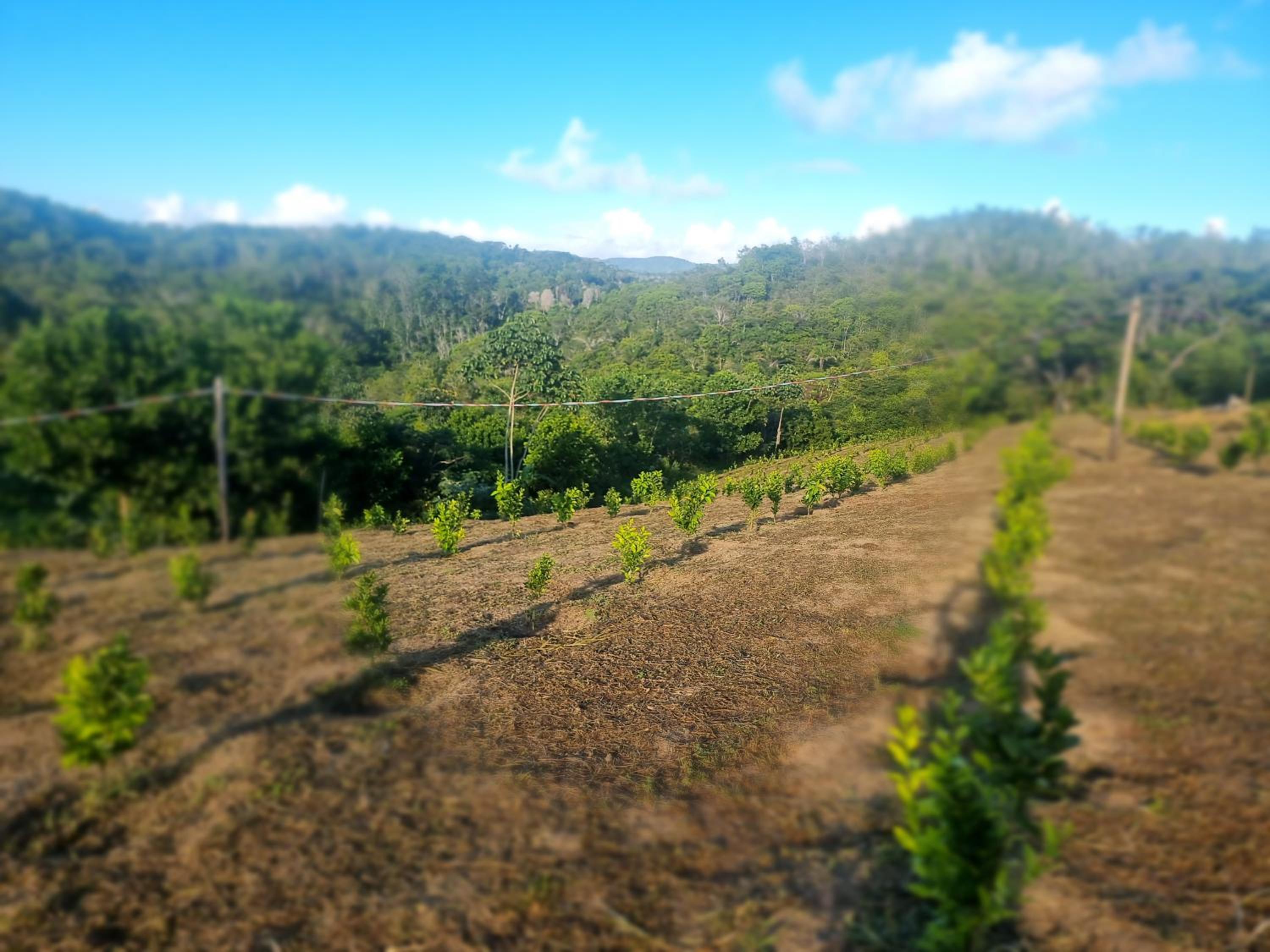 Fazenda de Jehne - Casa completa