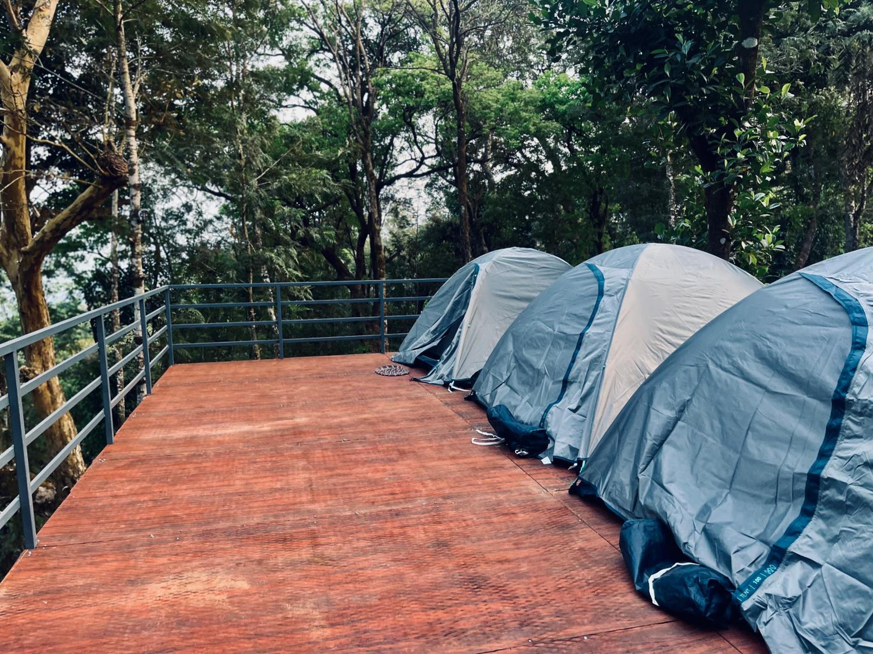 EMs Campsite