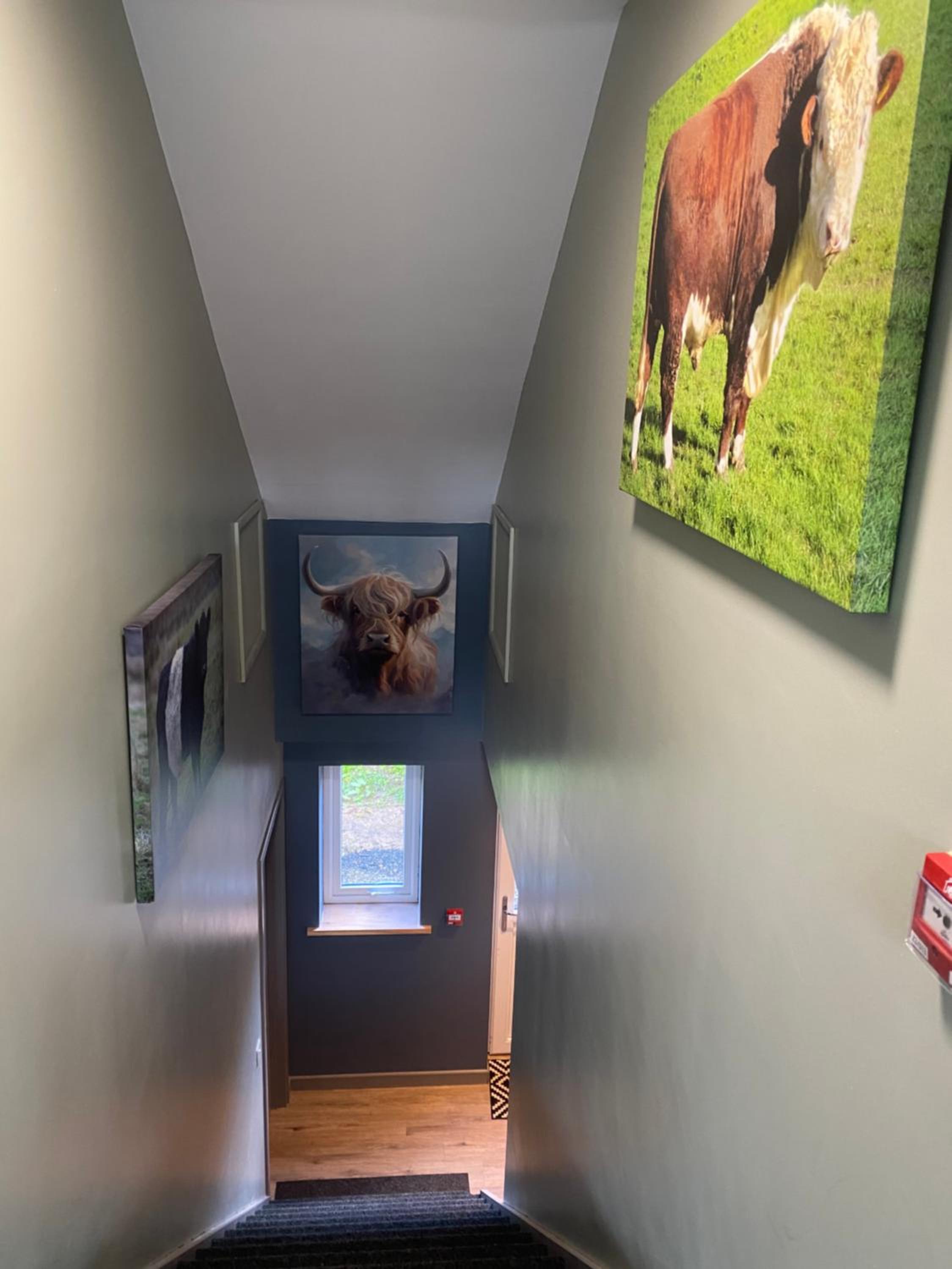 stylish and modern Spacious 2 bedroom apartment view 4