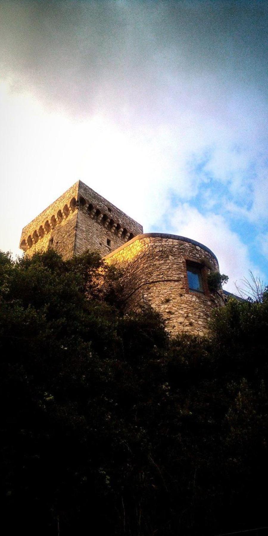 Photo 49