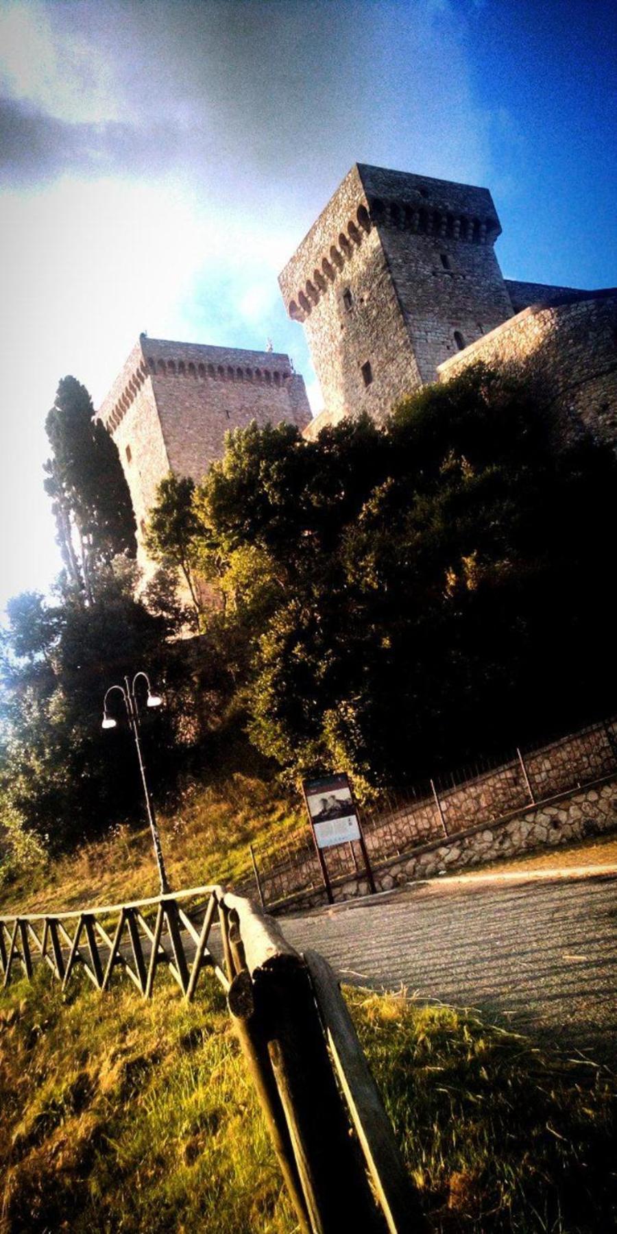 Photo 50