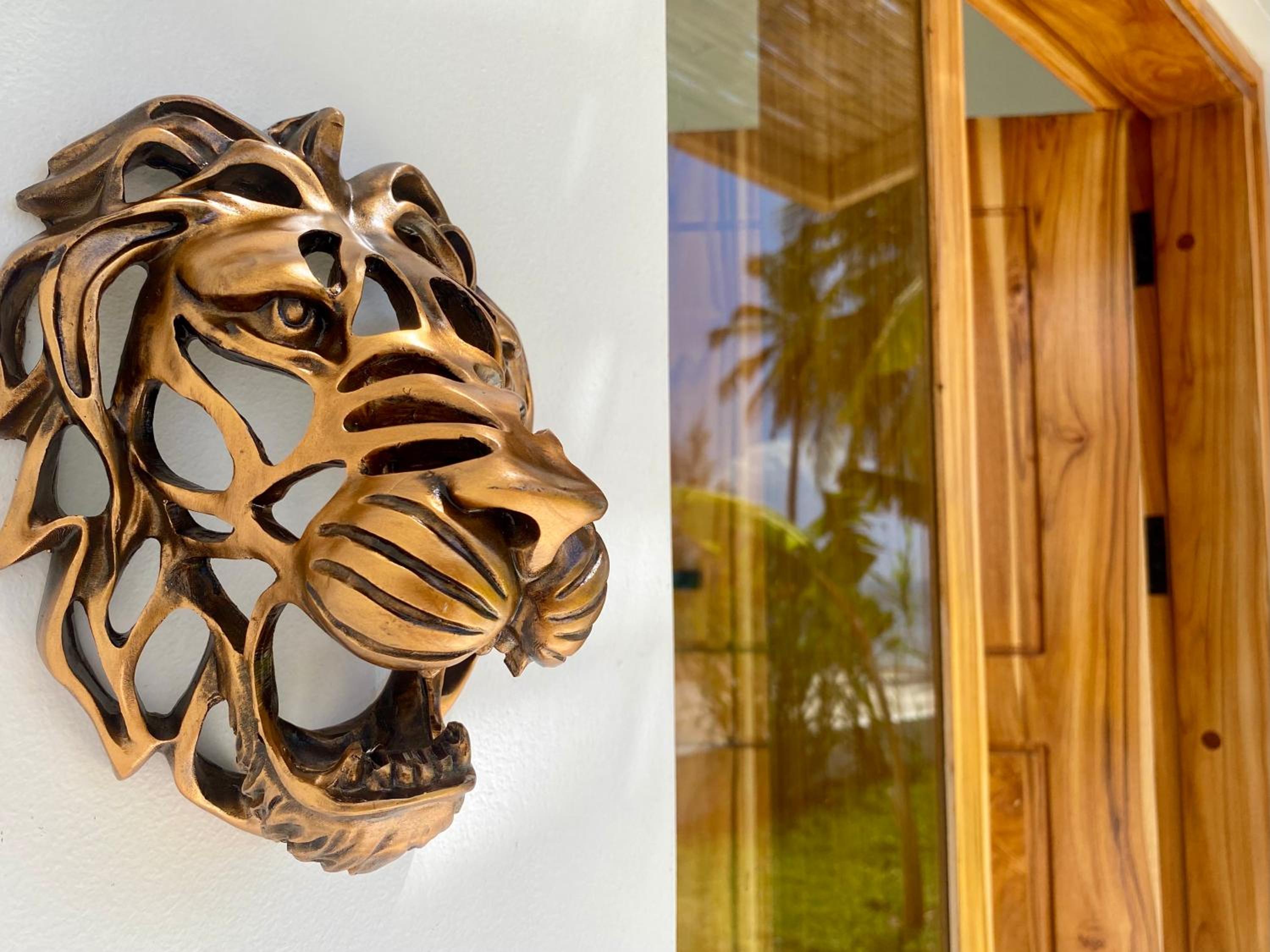 Photo 52