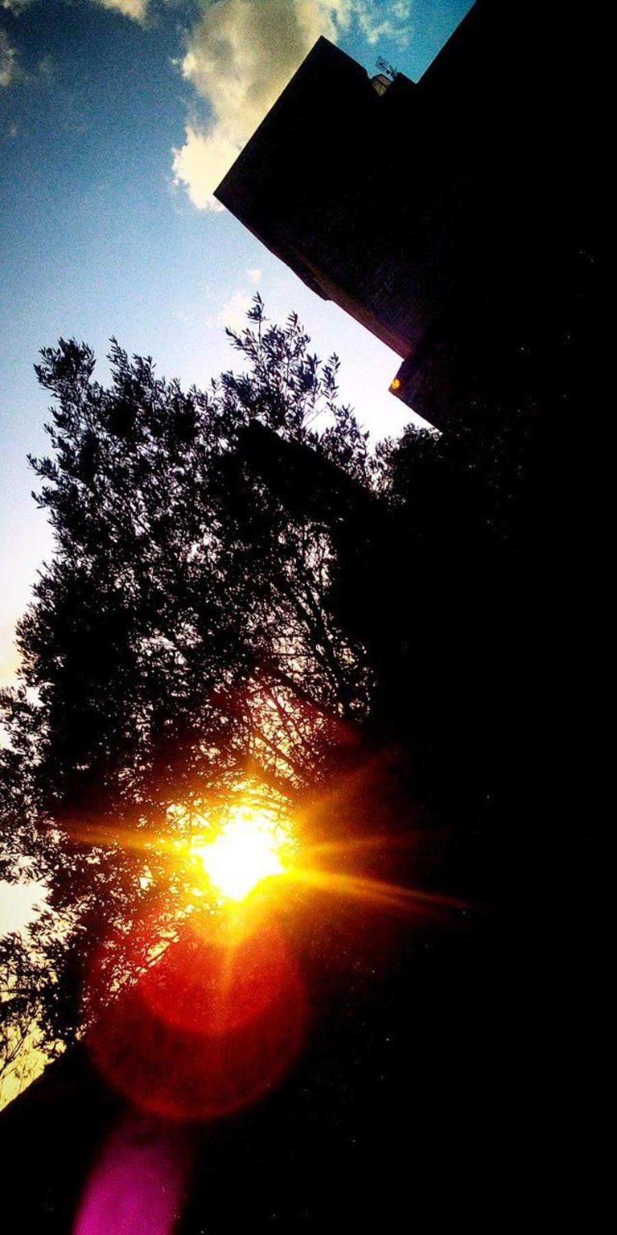 Photo 56