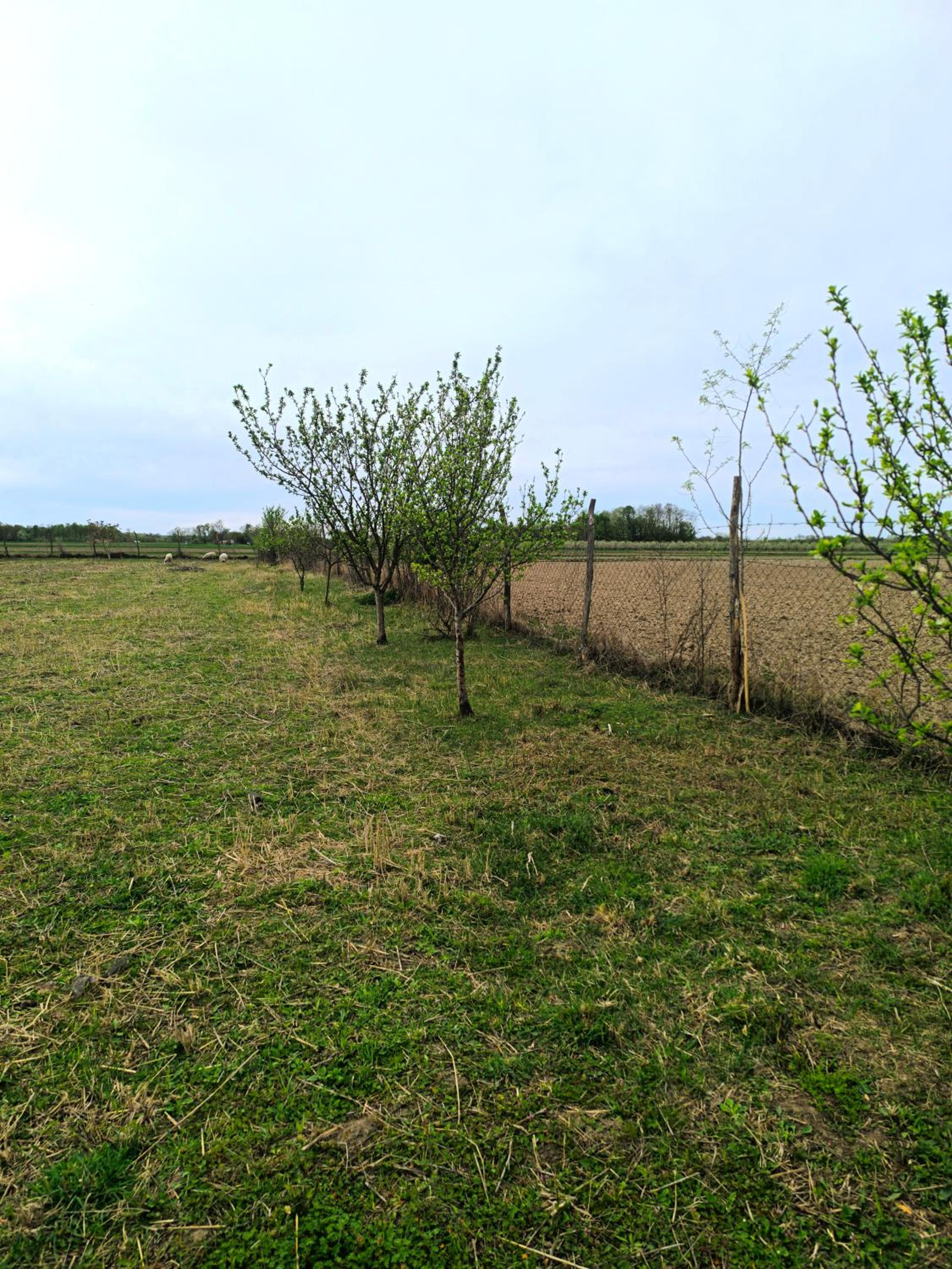 Photo 49