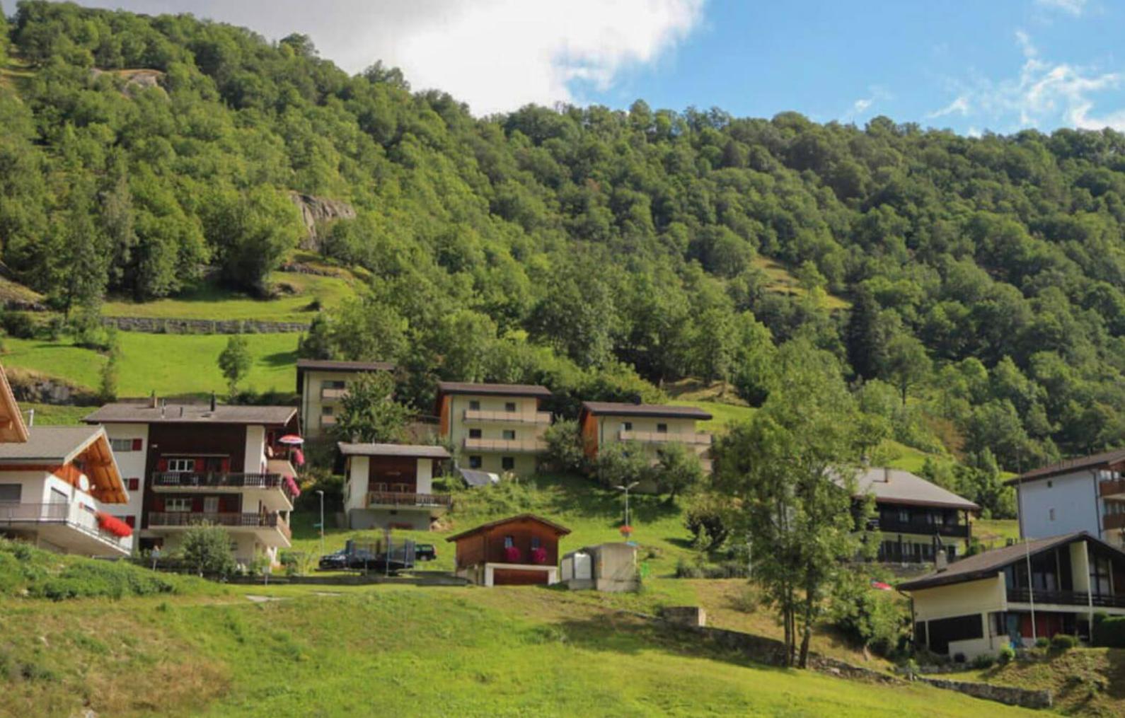 3.5-Zimmer FeWo Primeli Fieschertal